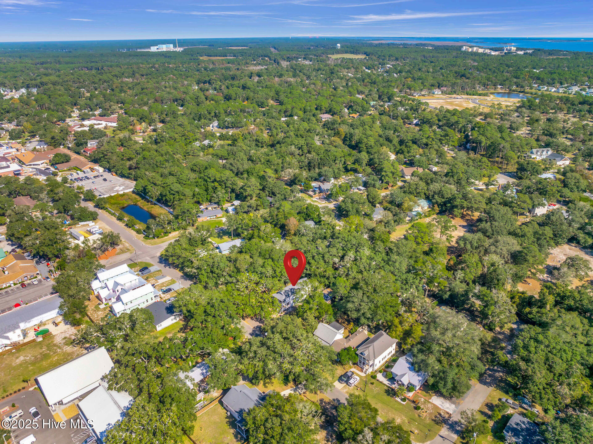 100538274 | Photo 47