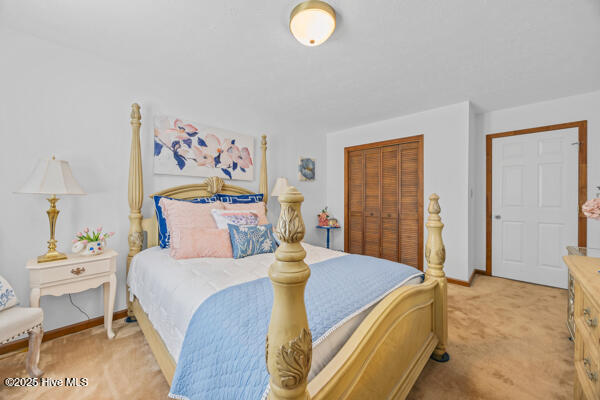 100540633 | Photo 18