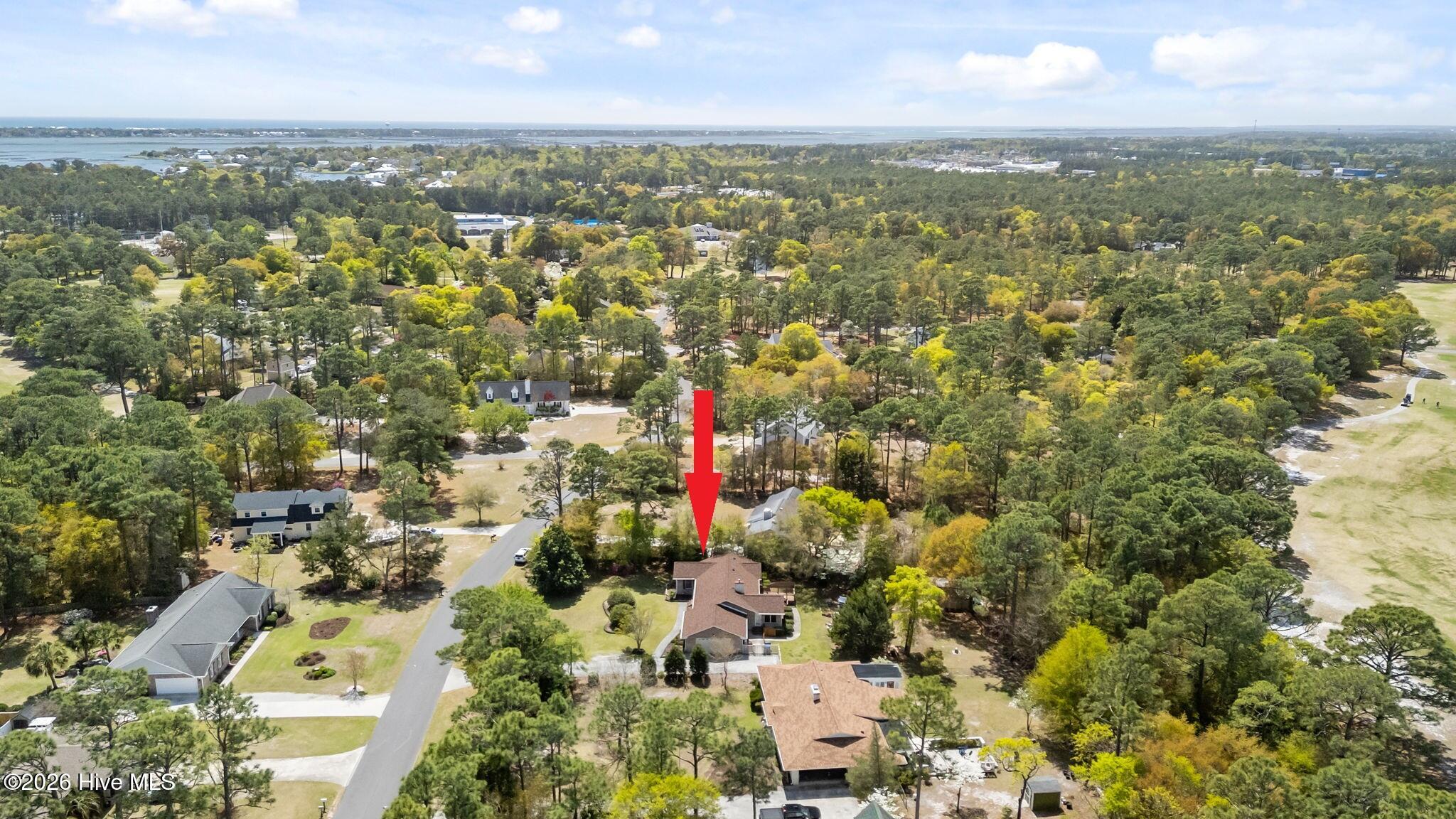 100566474 | Photo 58