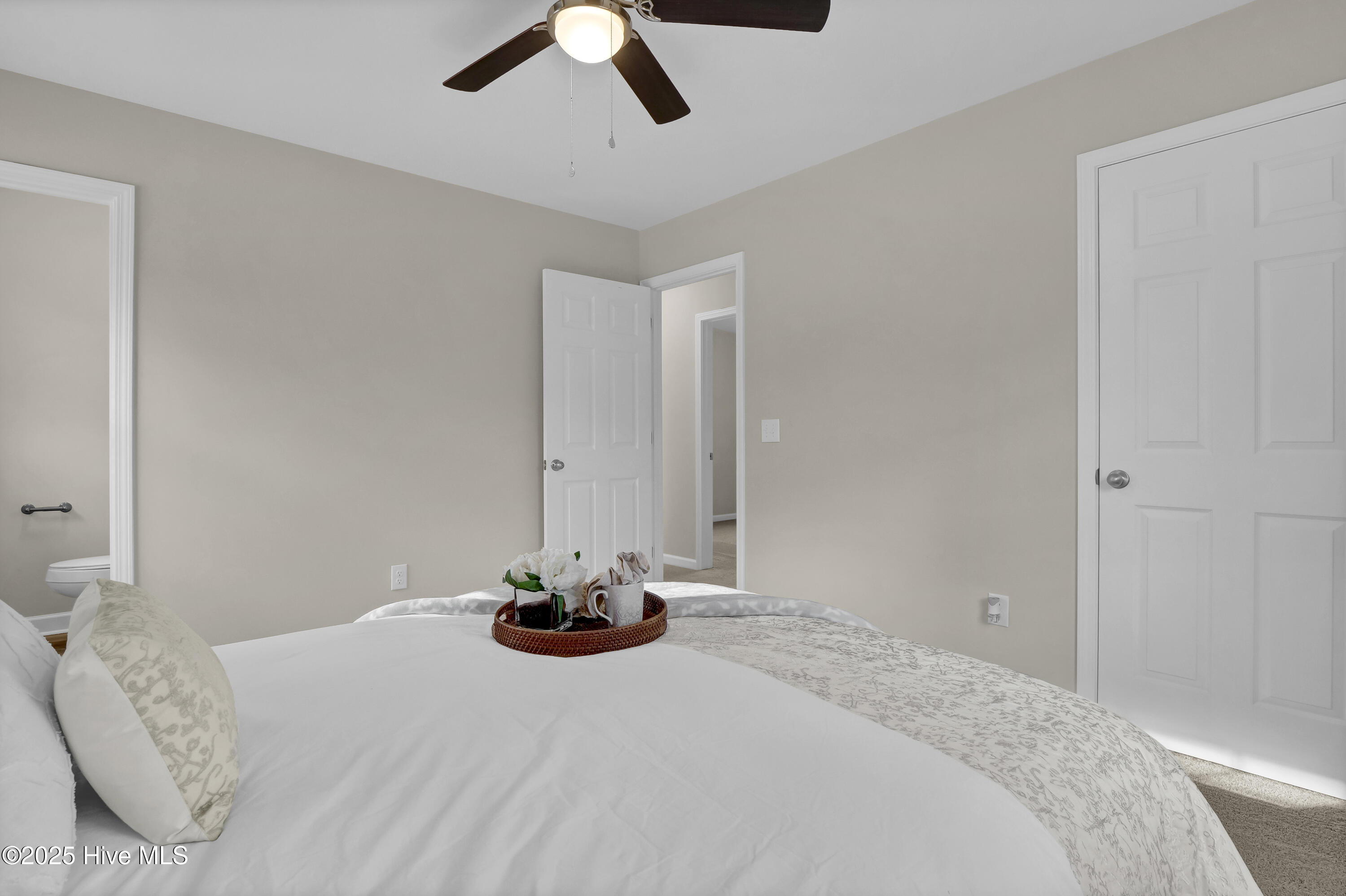 100546910 | Photo 19