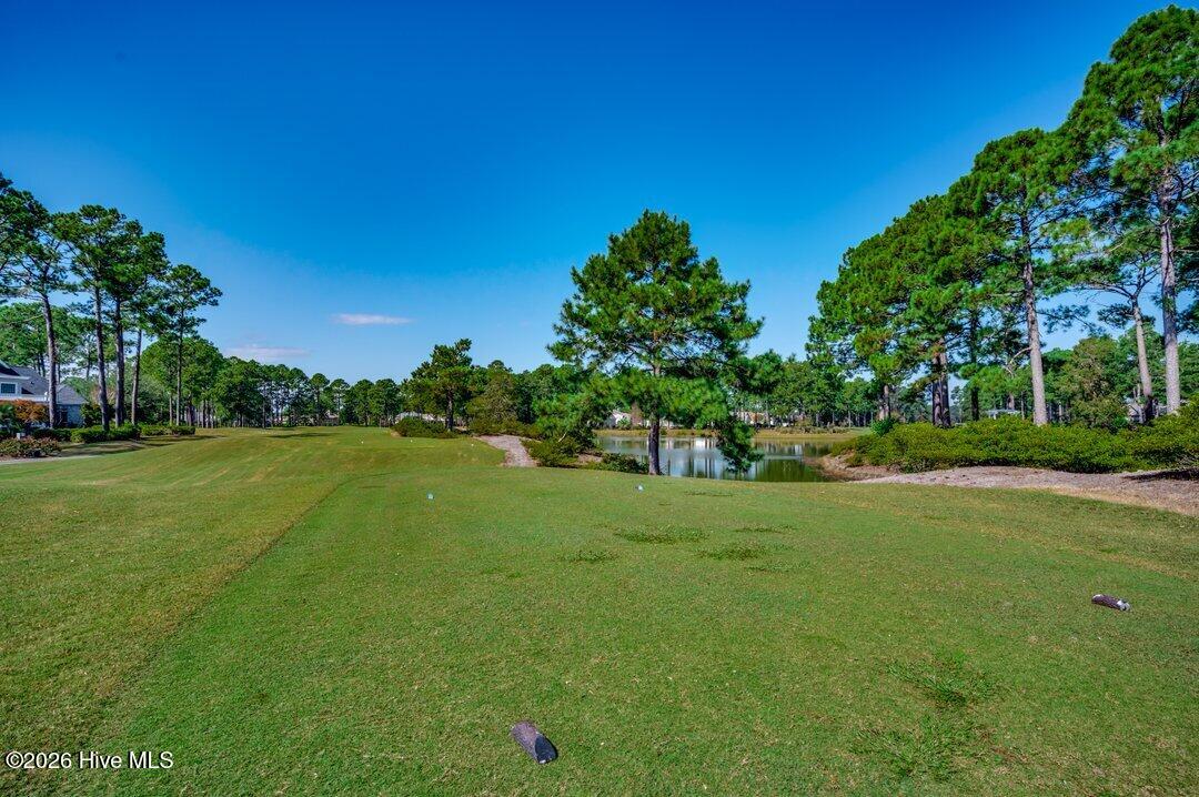 100548438 | Photo 20