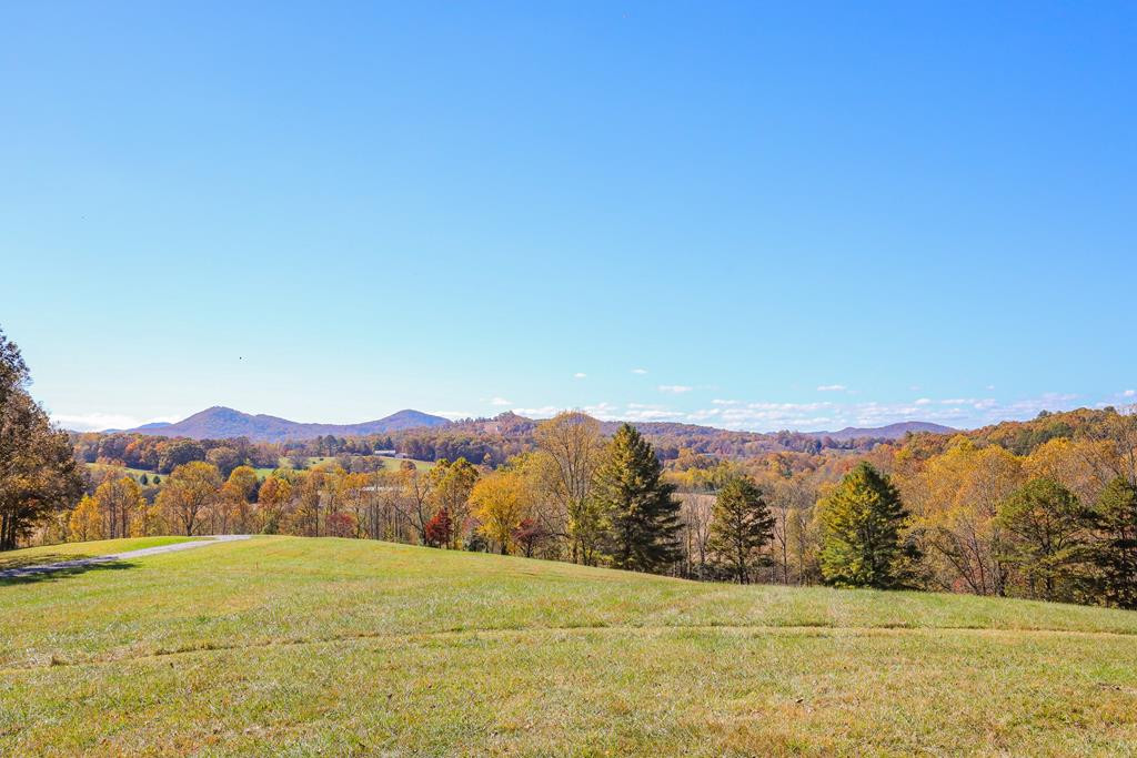 Listing Photo 98511929