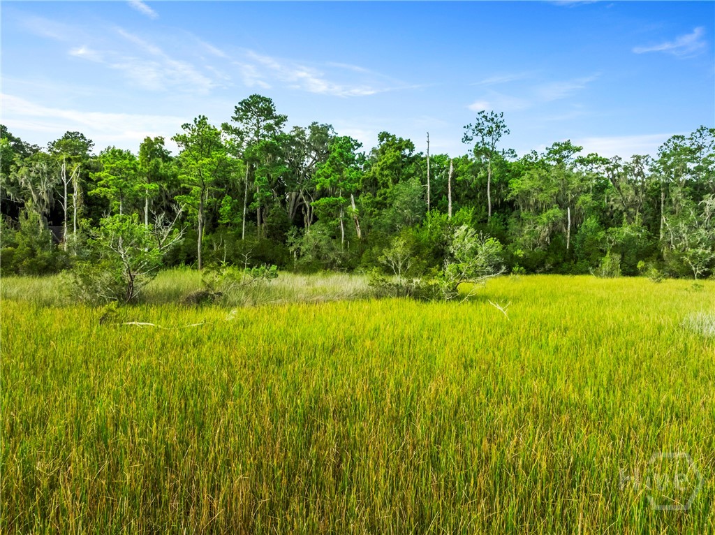 View of the lot from the Marsh