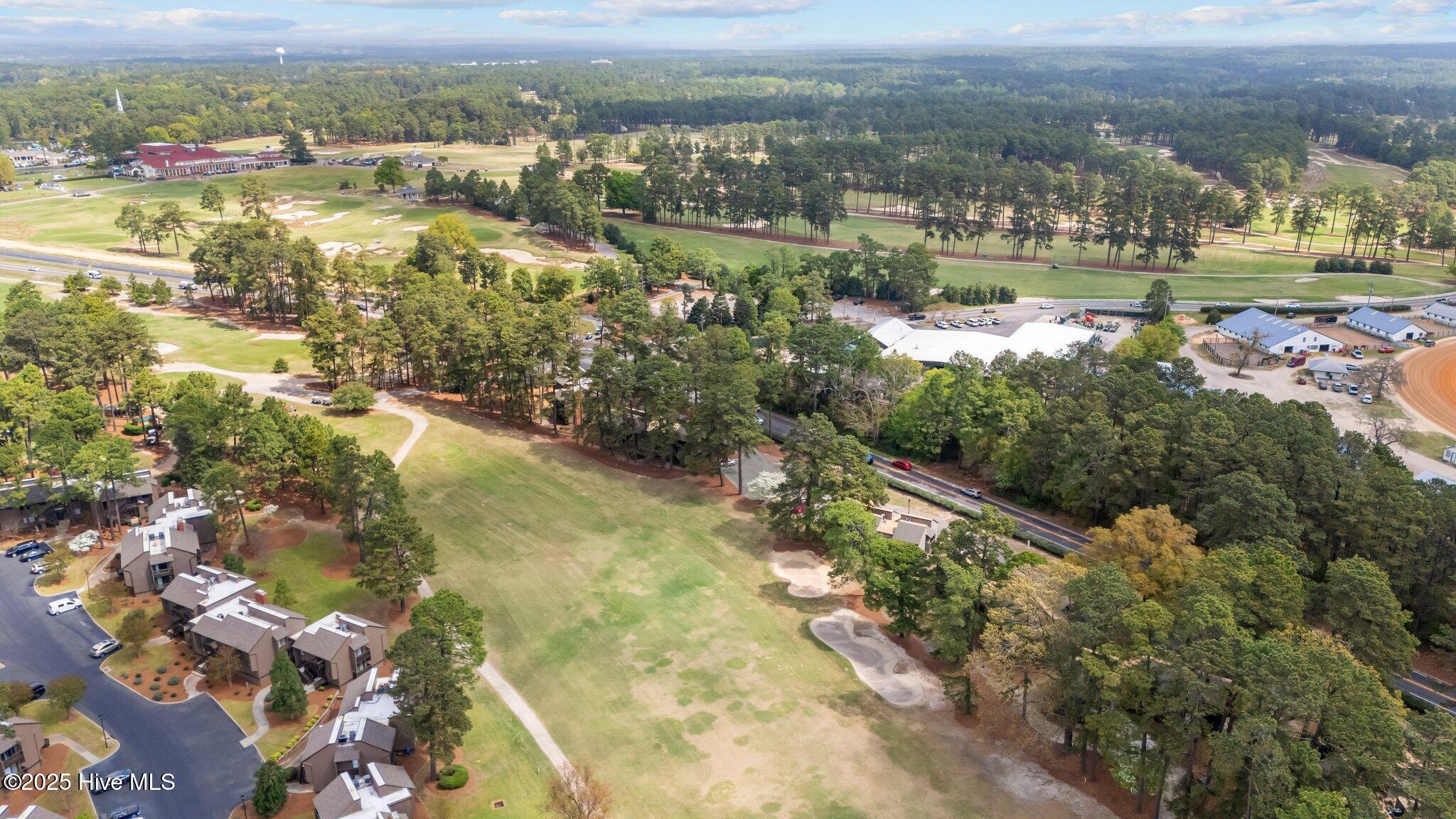5 Pine Tree Road 211