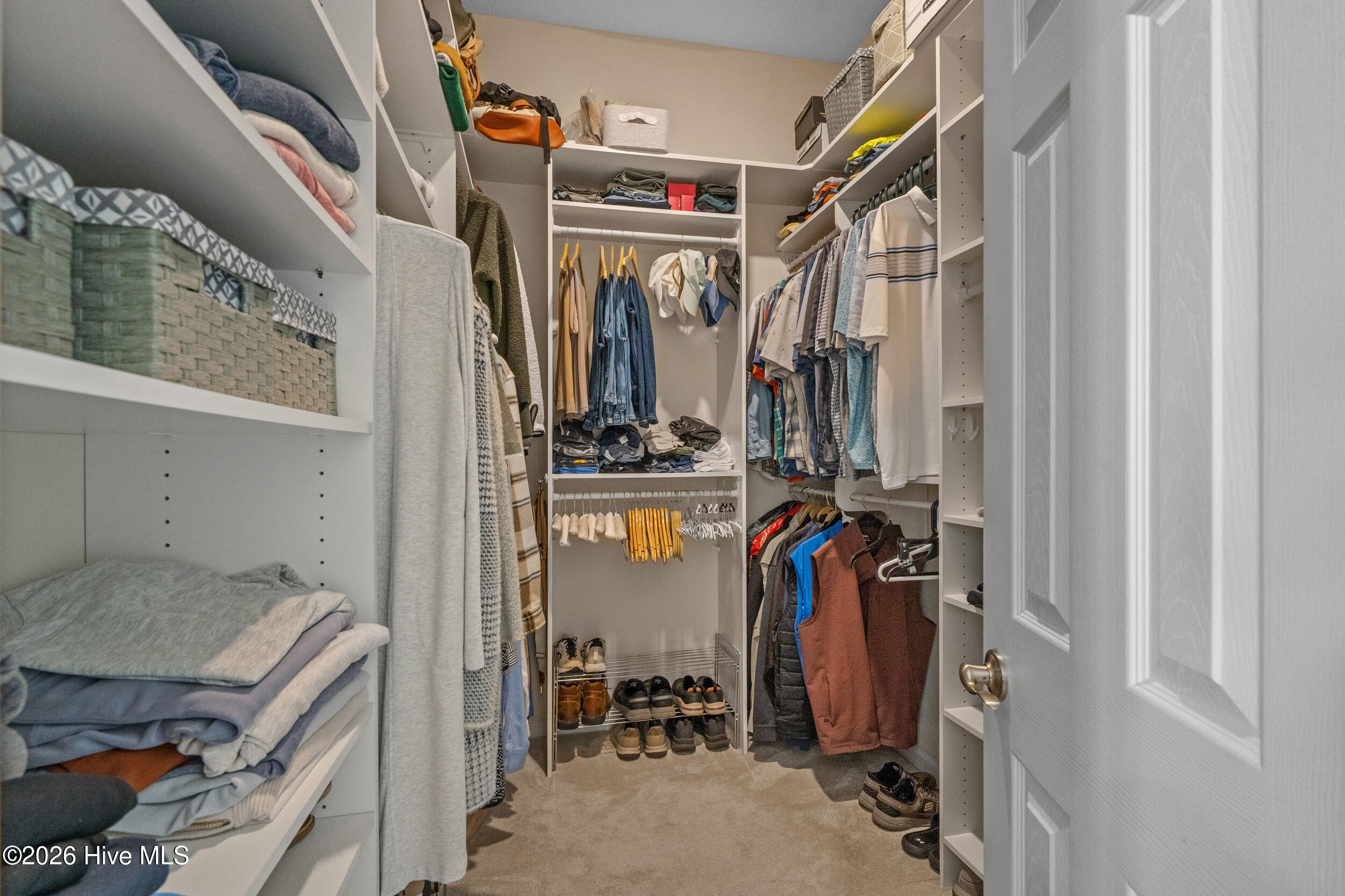 100562185 | Photo 20