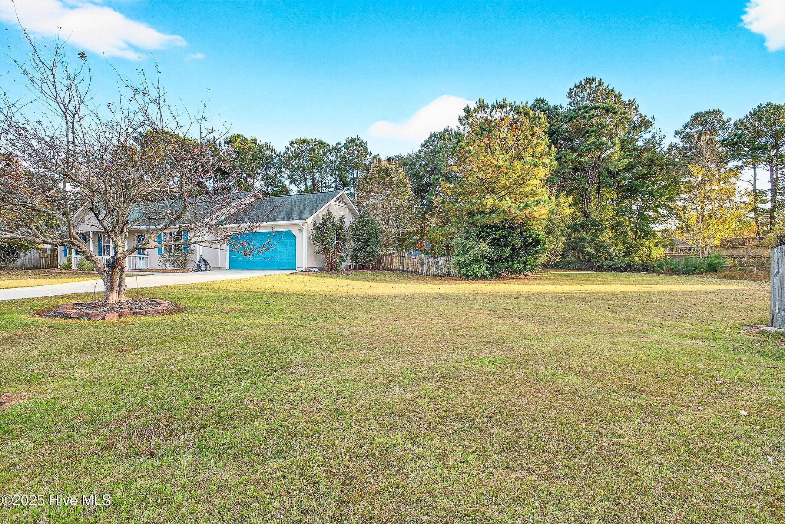 100541143 | Photo 26