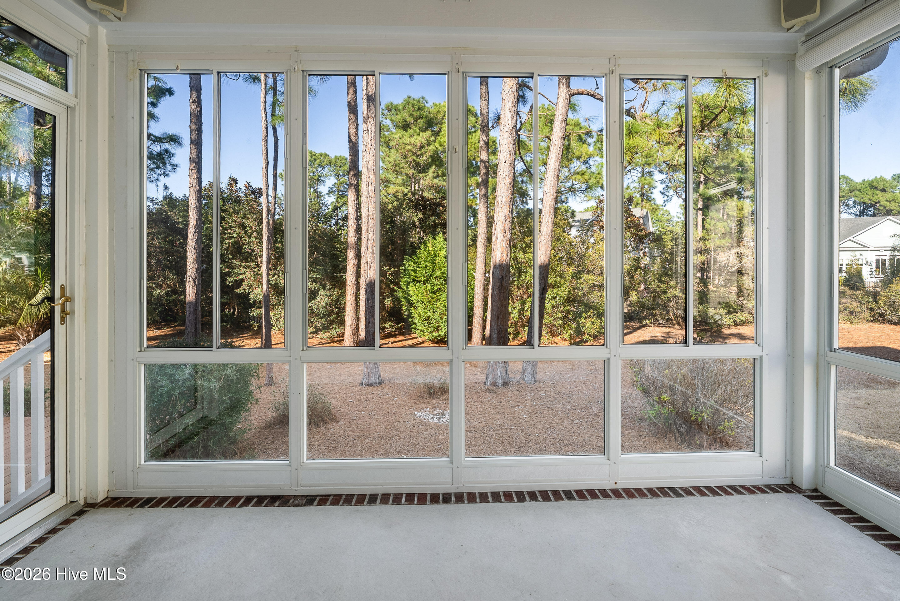 100558989 | Photo 19