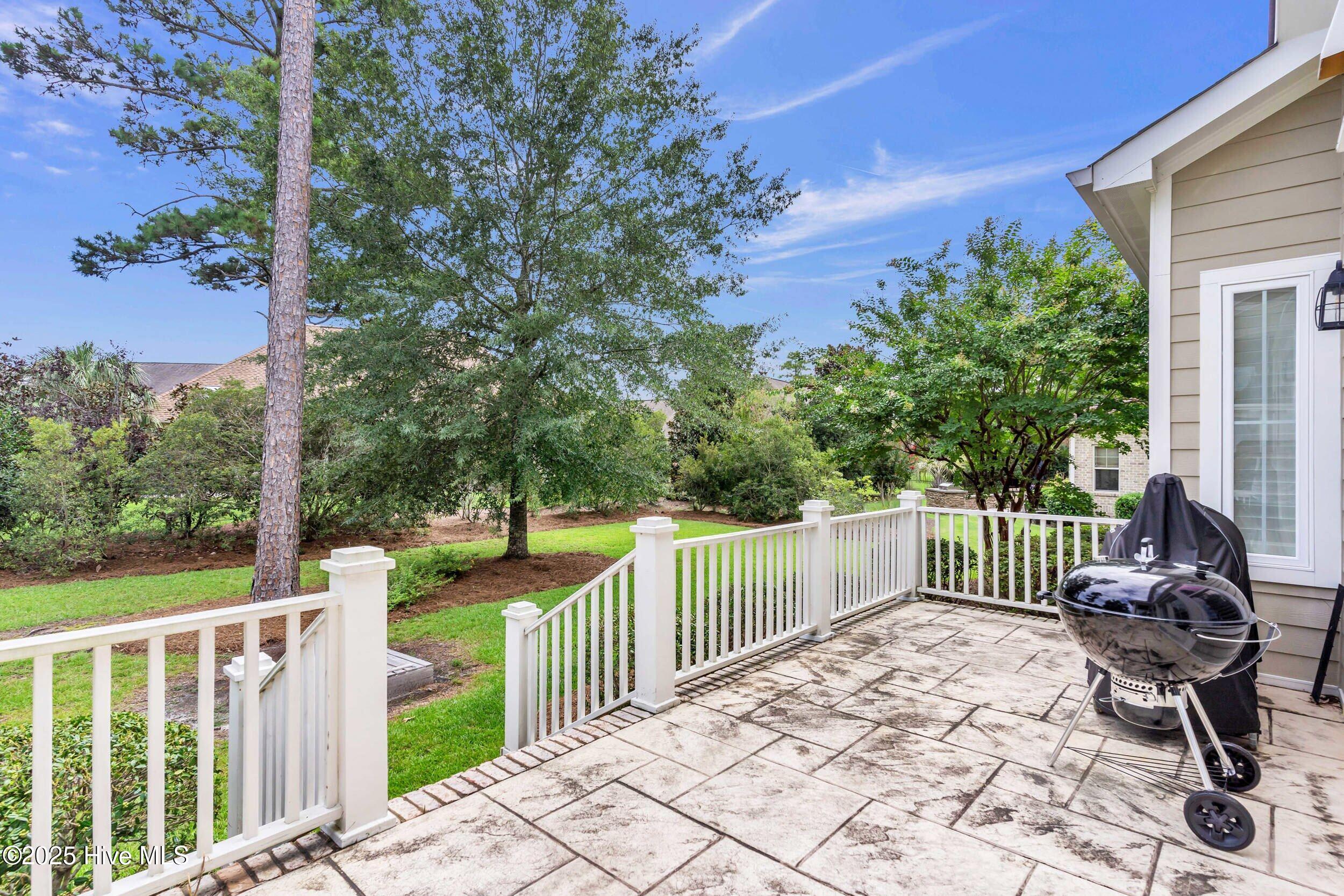 100524875 | Photo 47