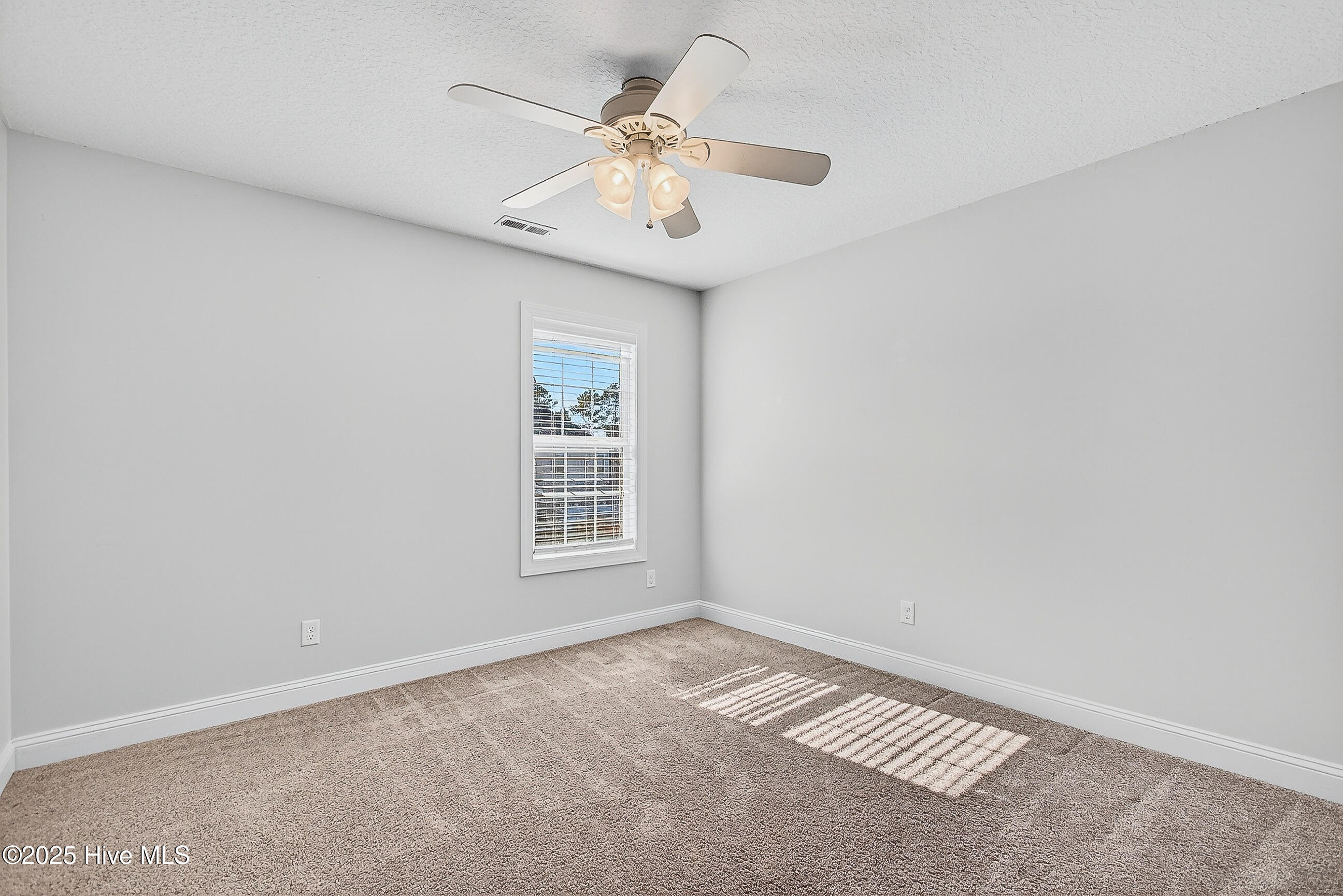 100541345 | Photo 34