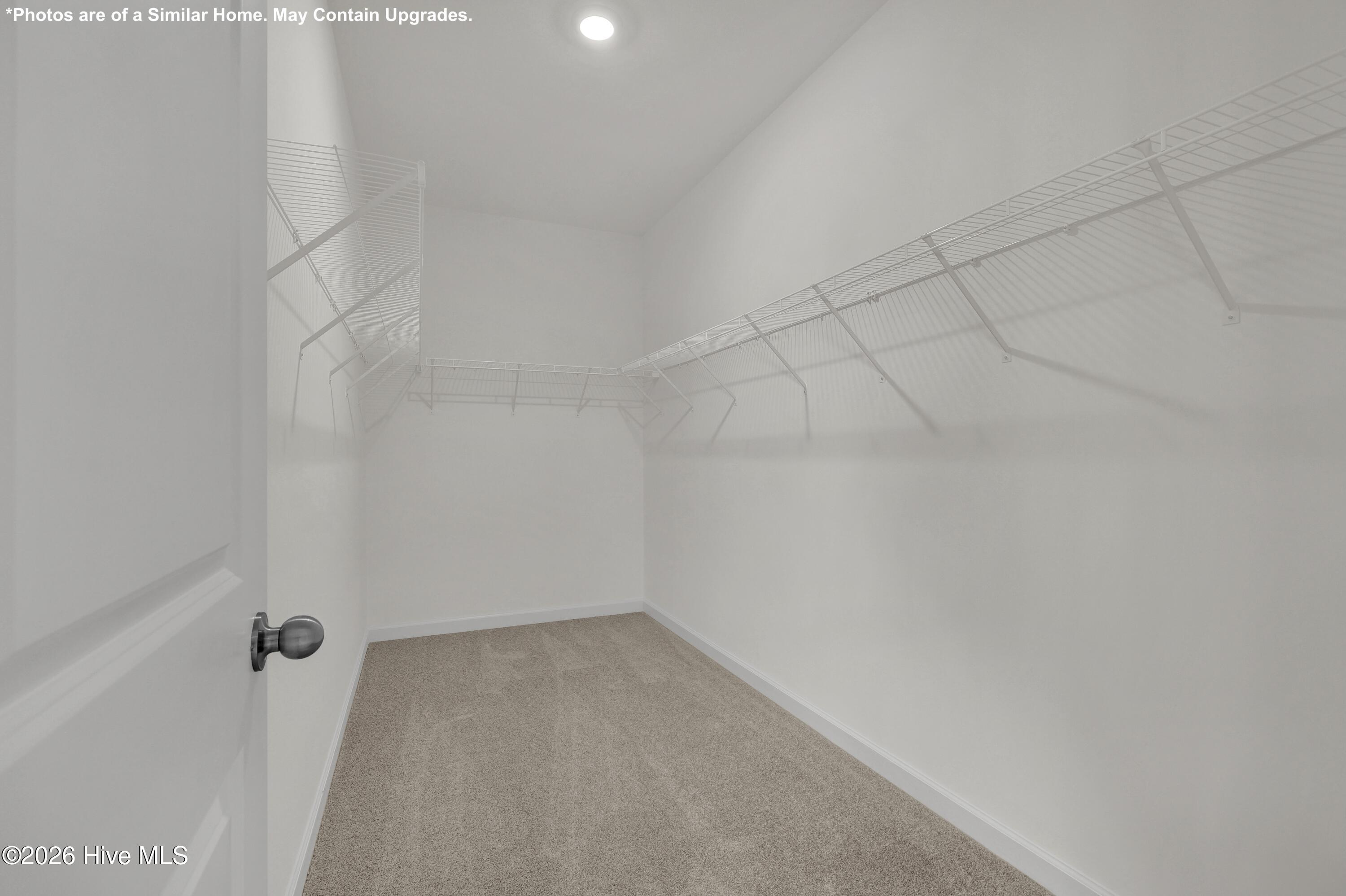 100557198 | Photo 16