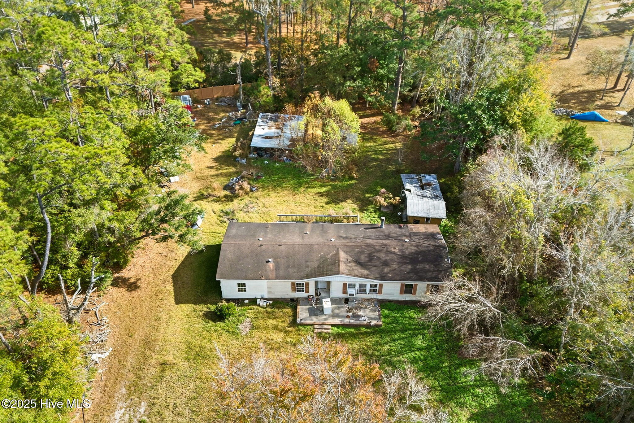 100543451 | Photo 11