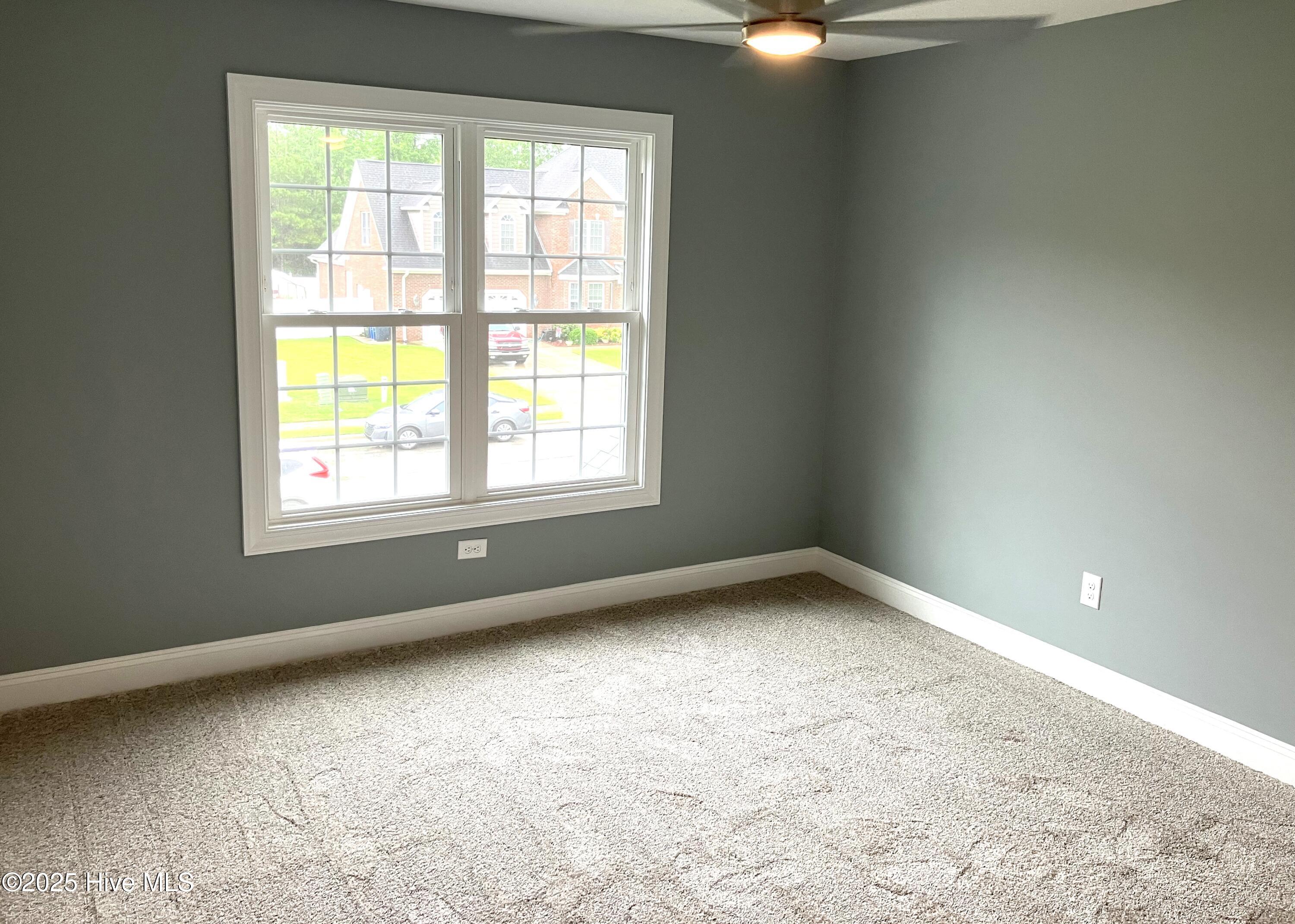 100514159 | Photo 38