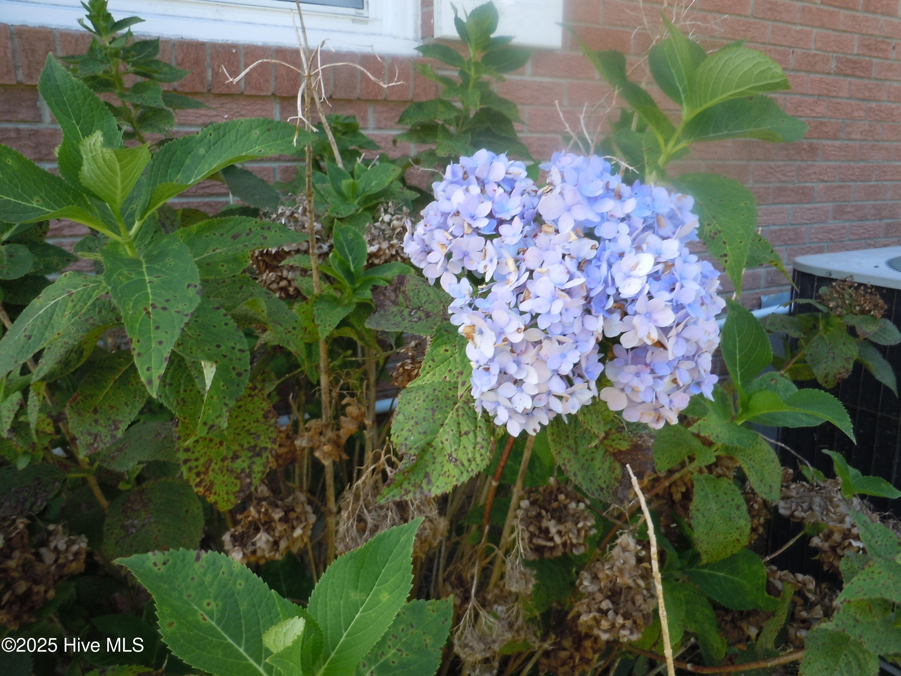 100528671 | Photo 69