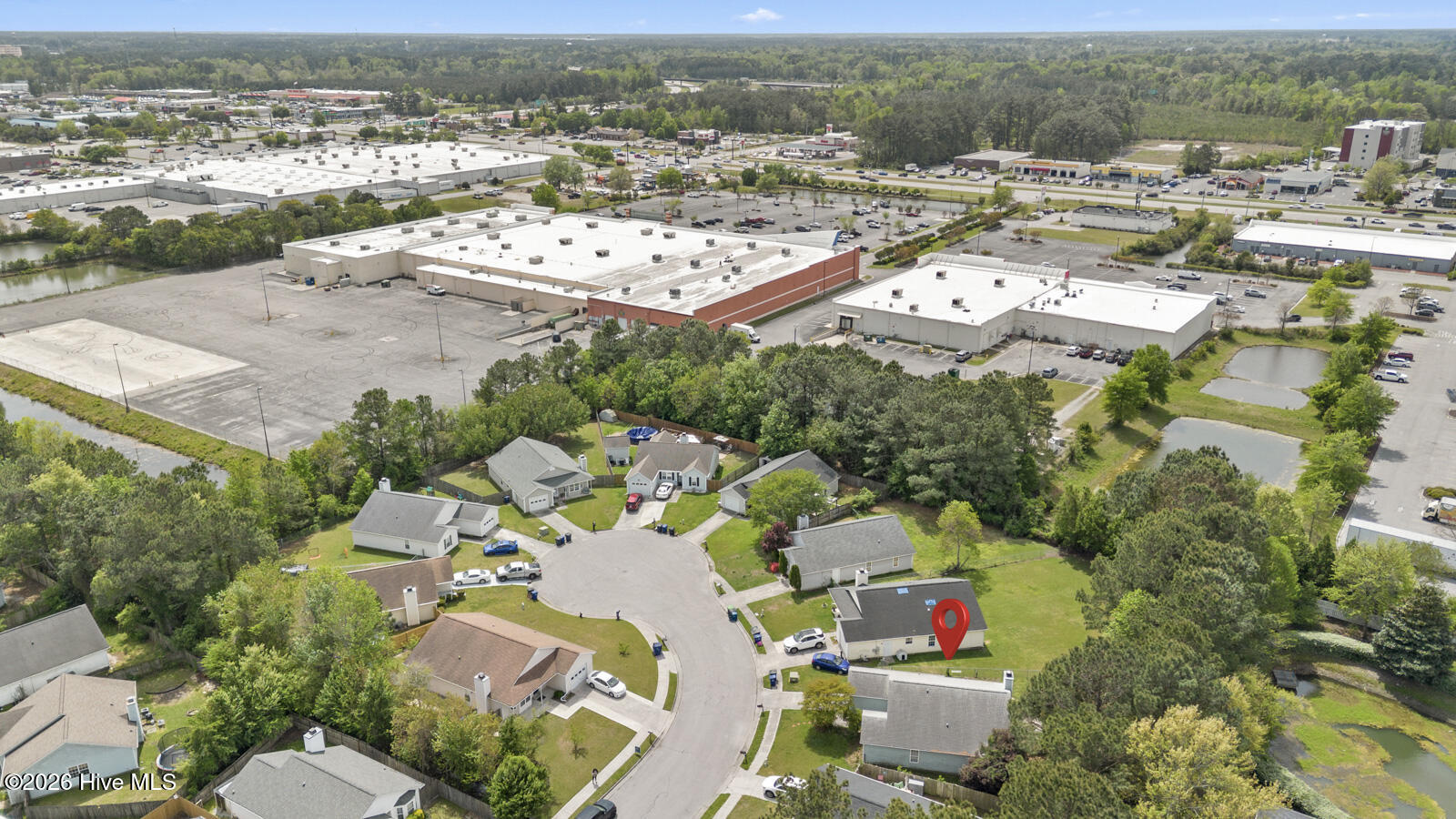 100565866 | Photo 21