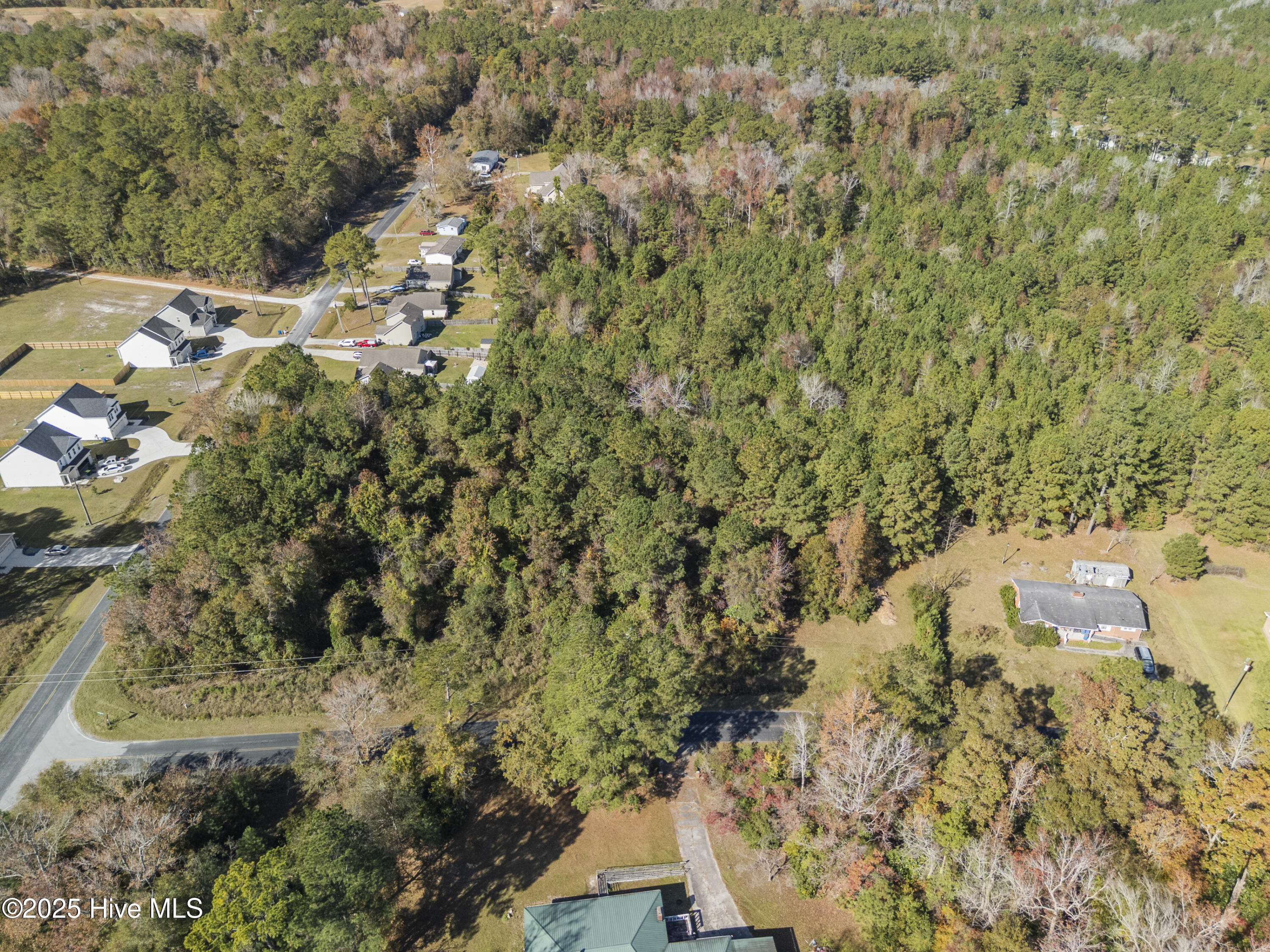 100542886 | Photo 19