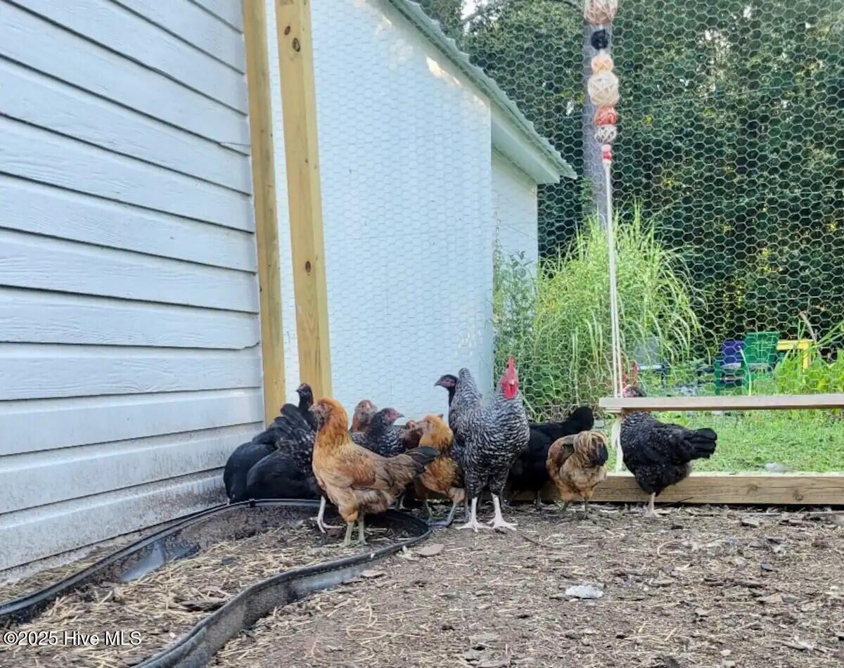 100545652 | Photo 28