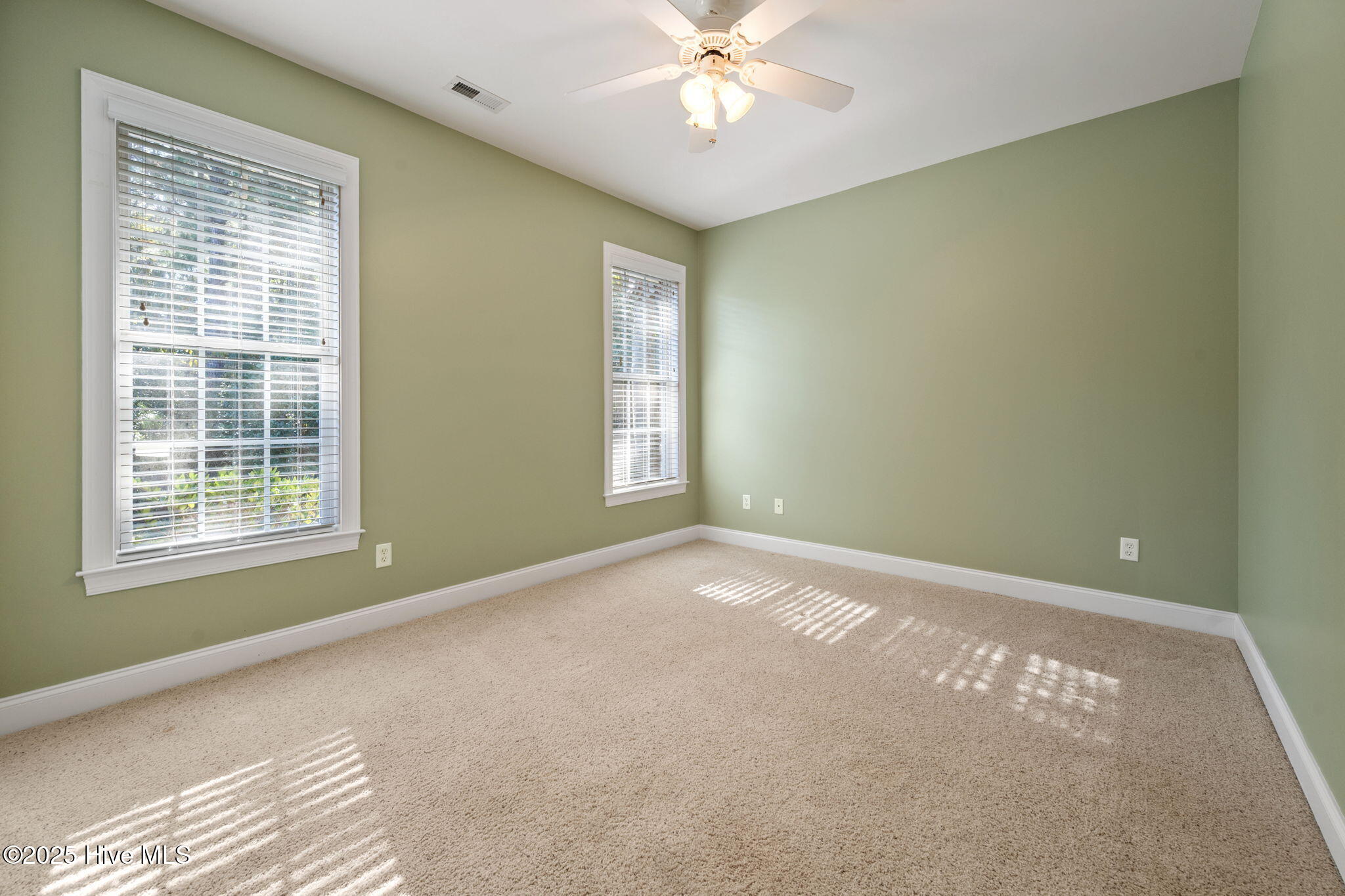 100538167 | Photo 31