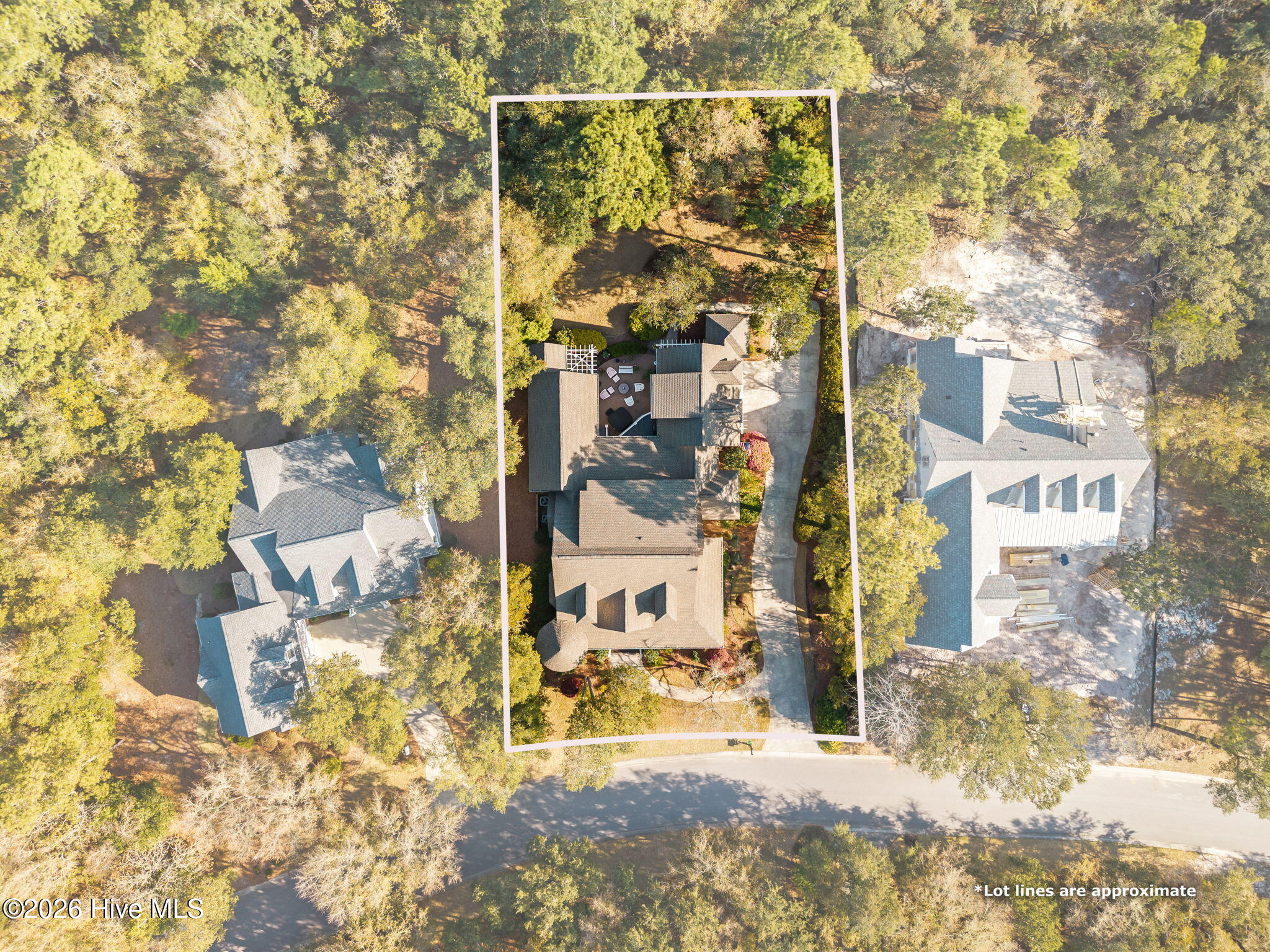 100563336 | Photo 57