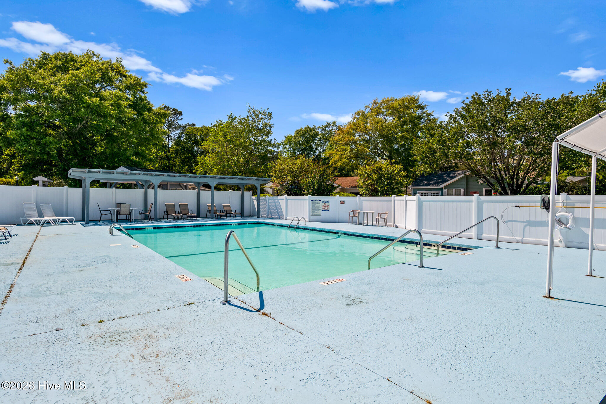 100566913 | Photo 51