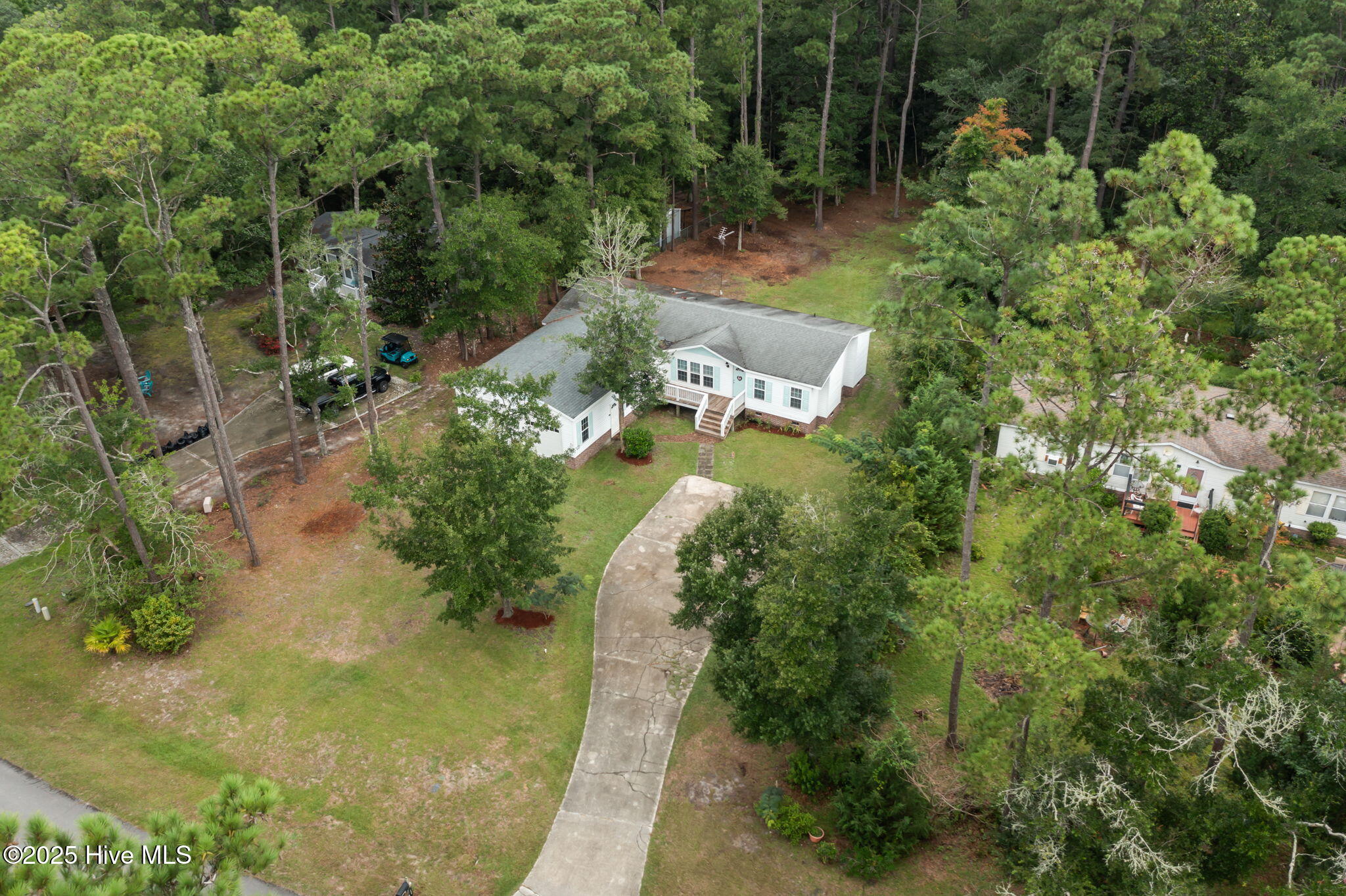 135 Bogue Forest 