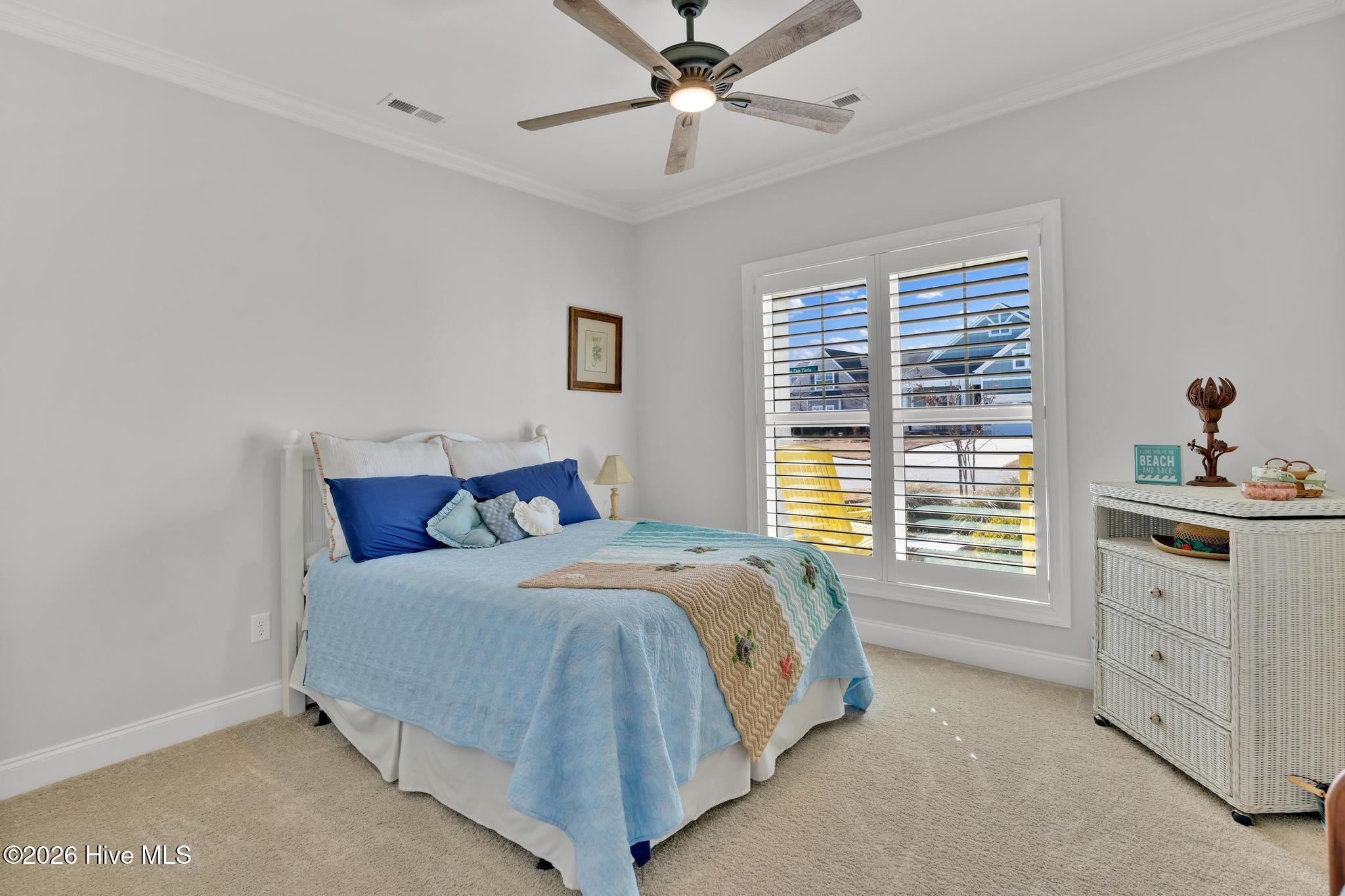 100555109 | Photo 19