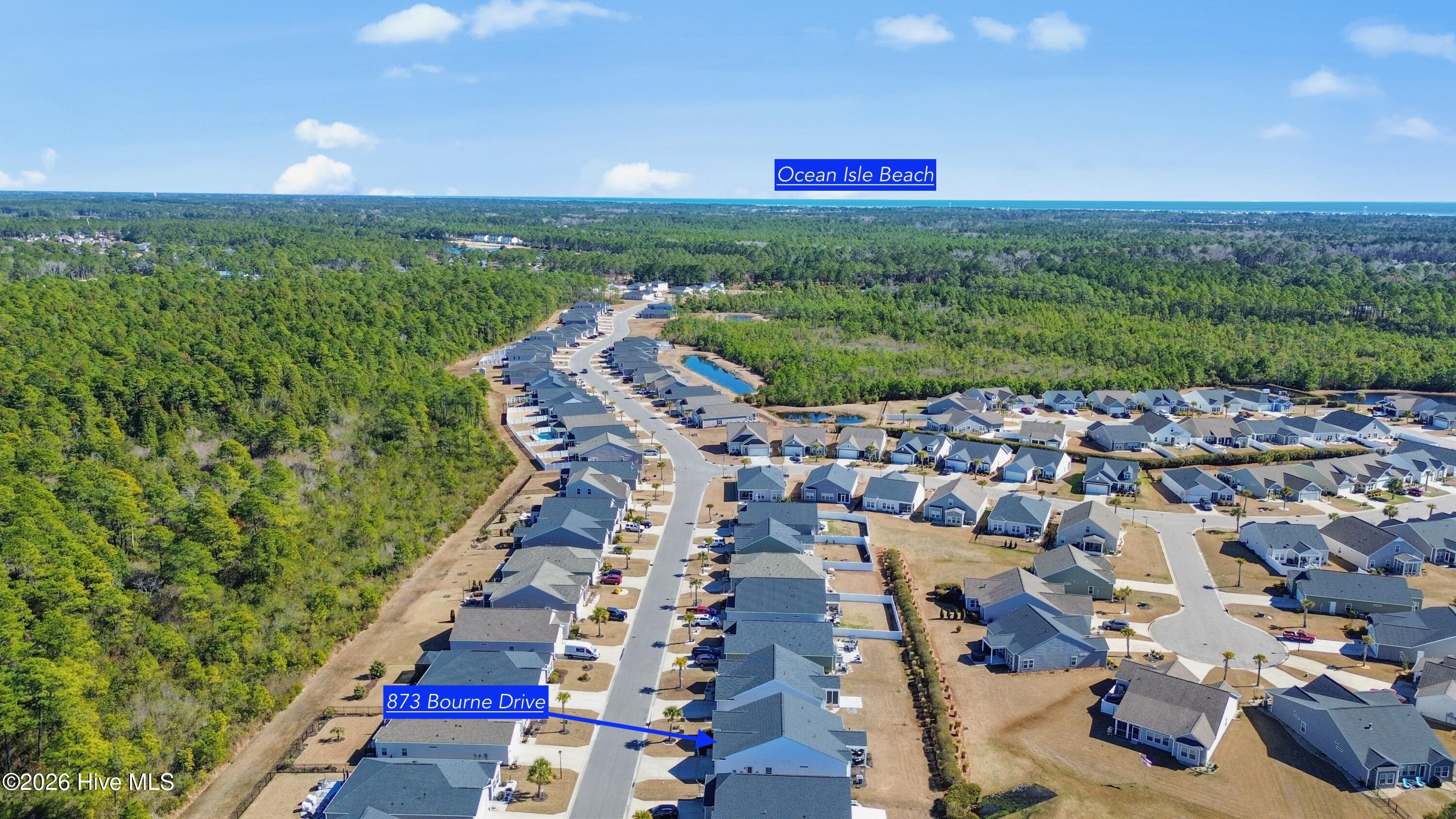 100555351 | Photo 35