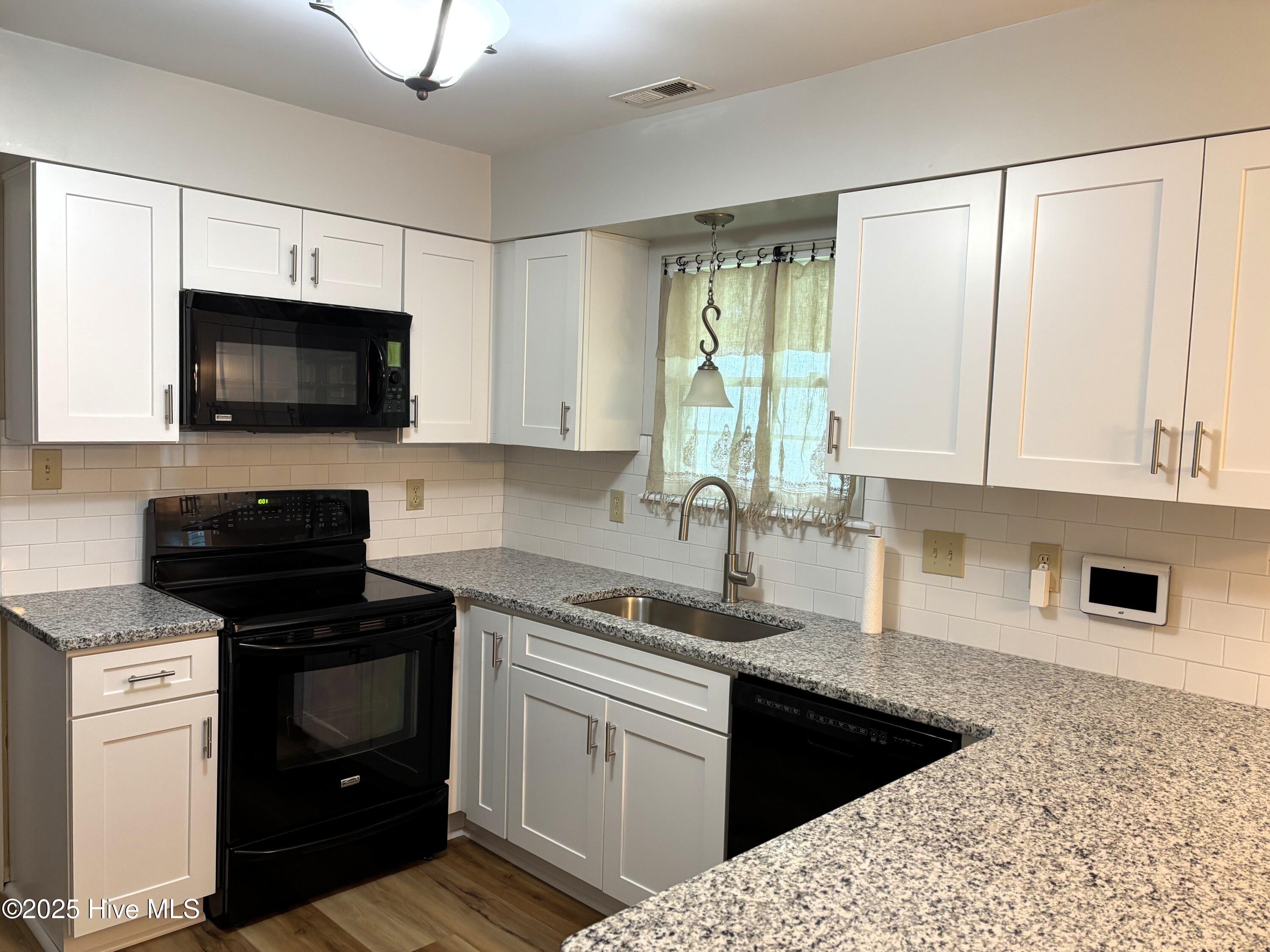 173 Audubon Drive, Jacksonville, NC 28546 – photo 6: Kitchen