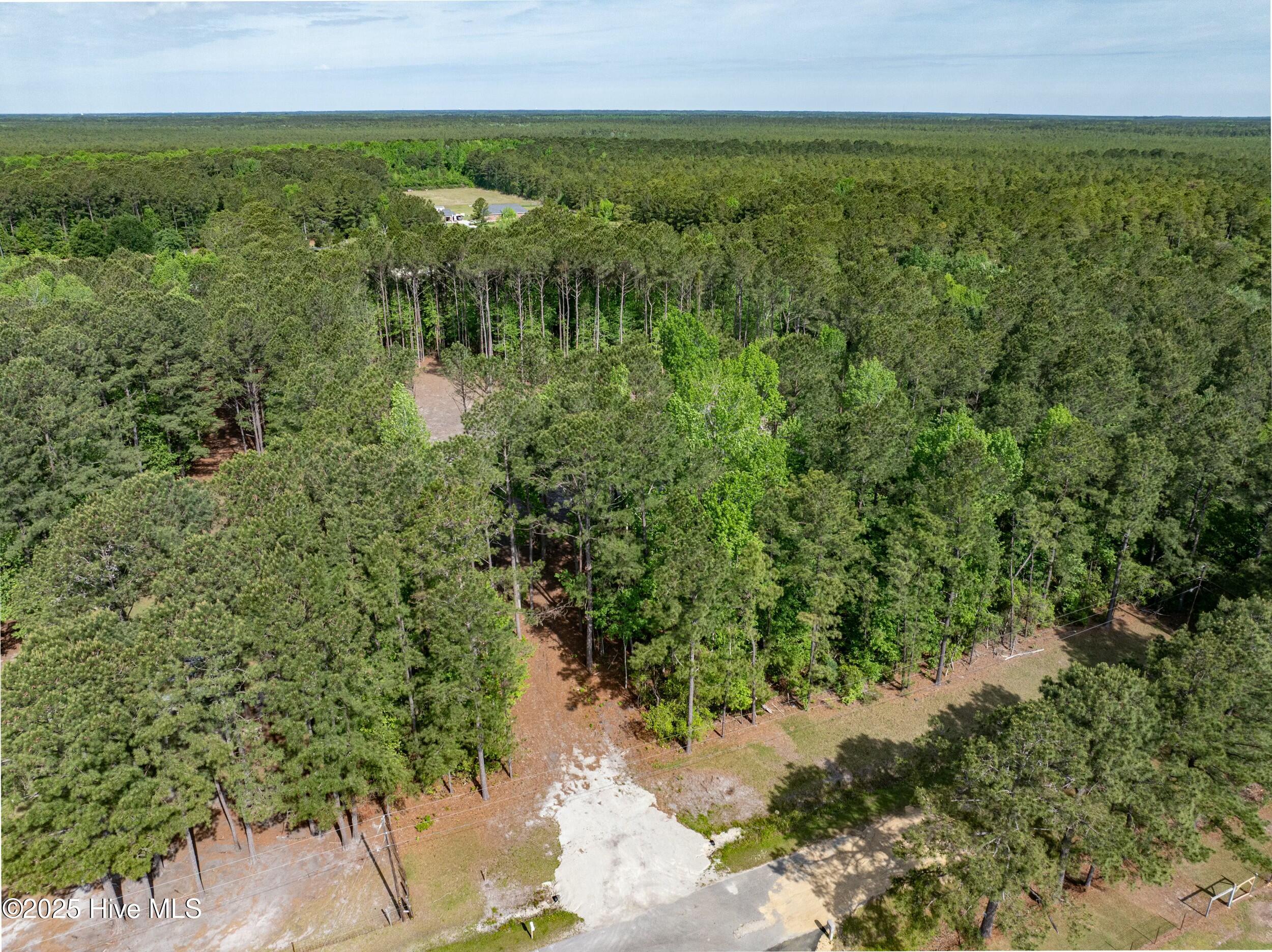 100503919 | Photo 24