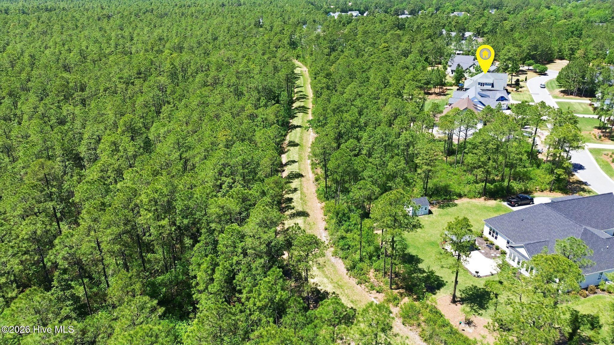 100569004 | Photo 91