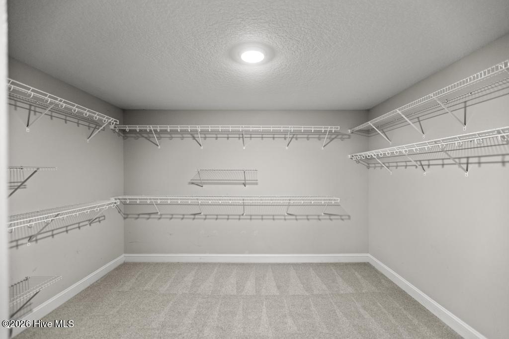 100552521 | Photo 21