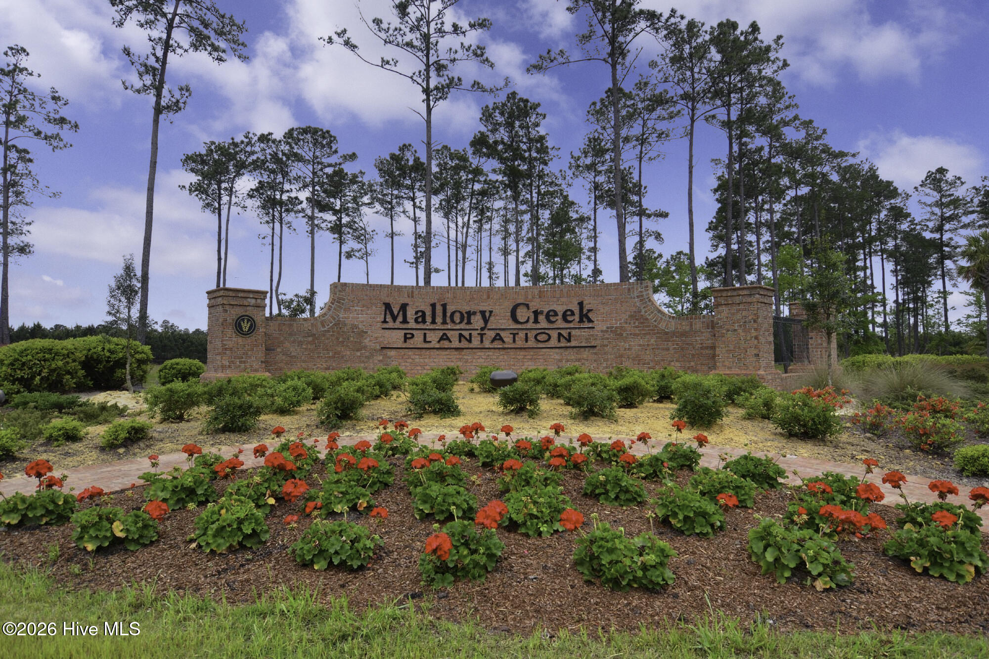 100557466 | Photo 51