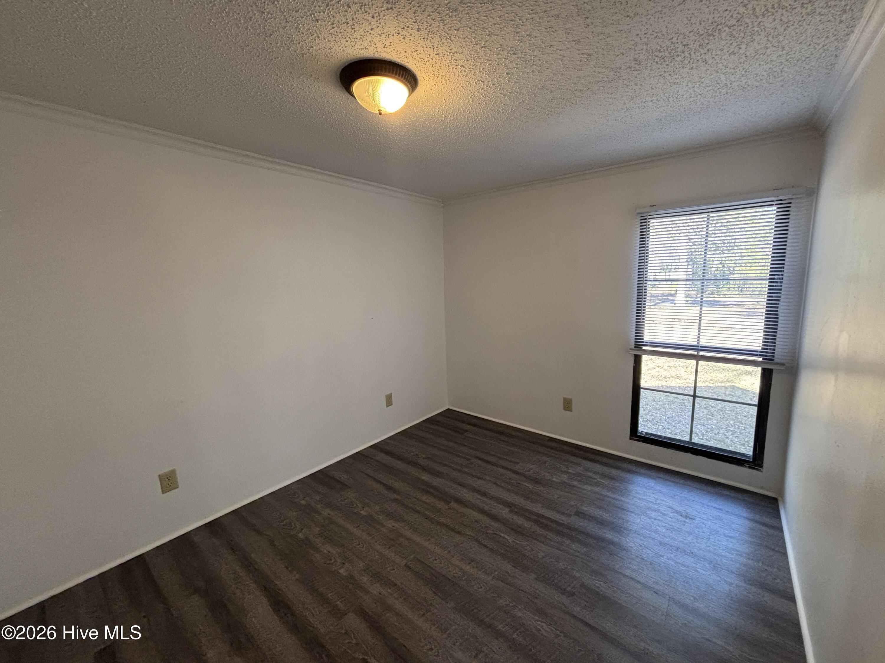 100562125 | Photo 10