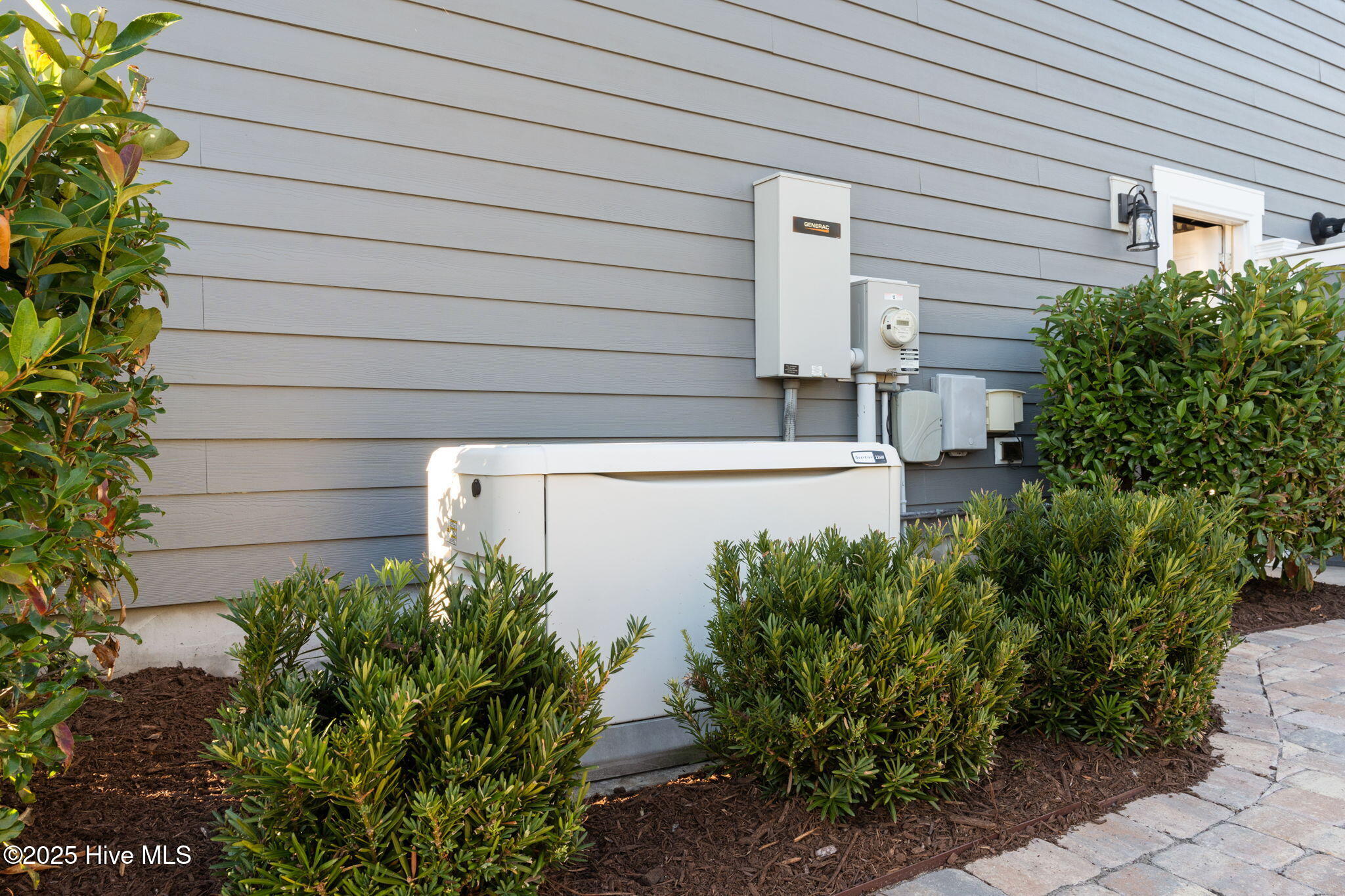 100539203 | Photo 53