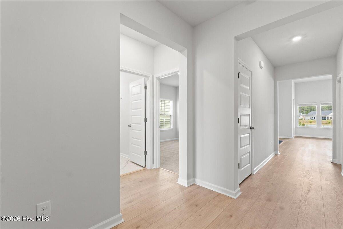 100567069 | Photo 21