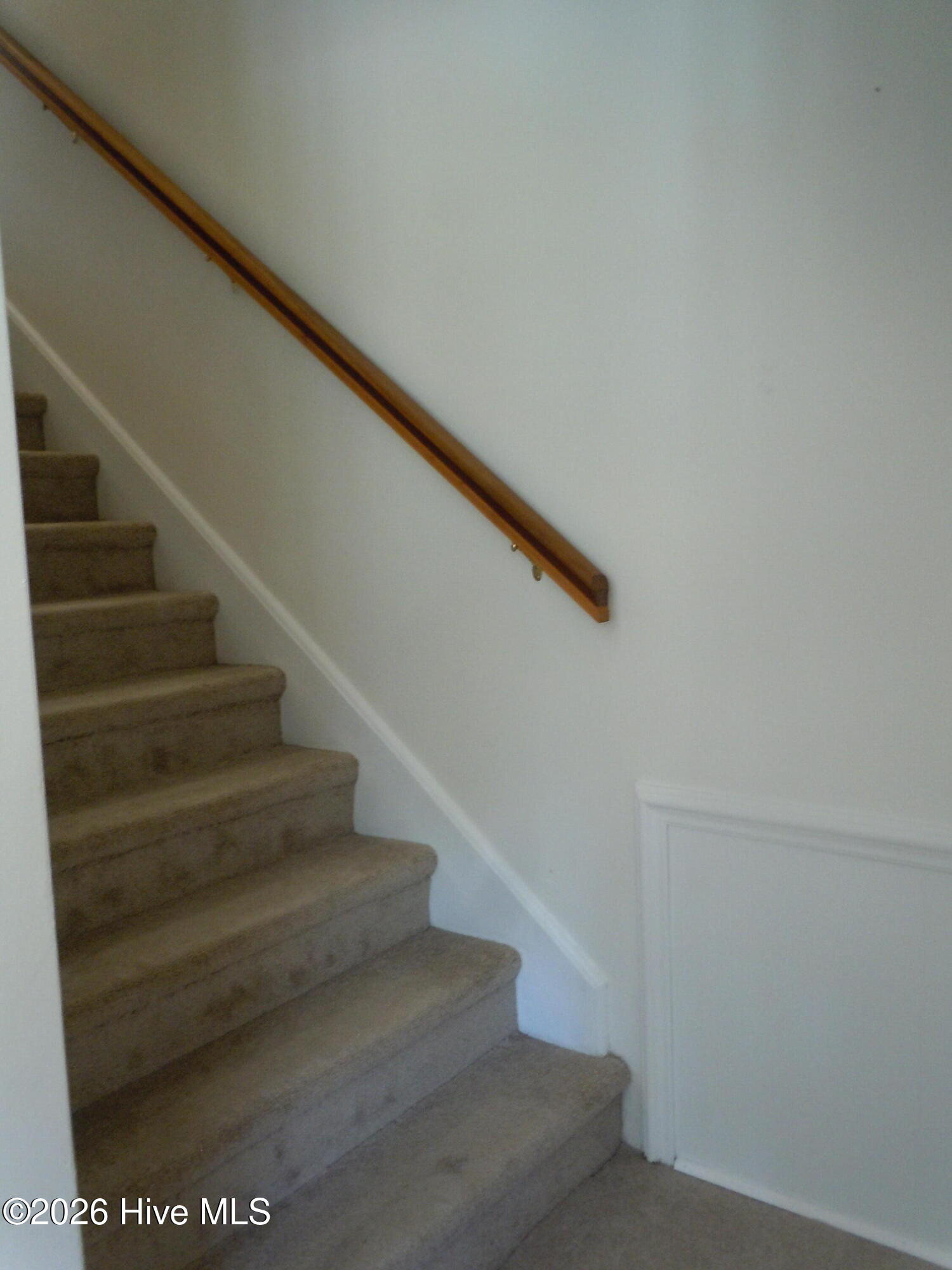 100565129 | Photo 40