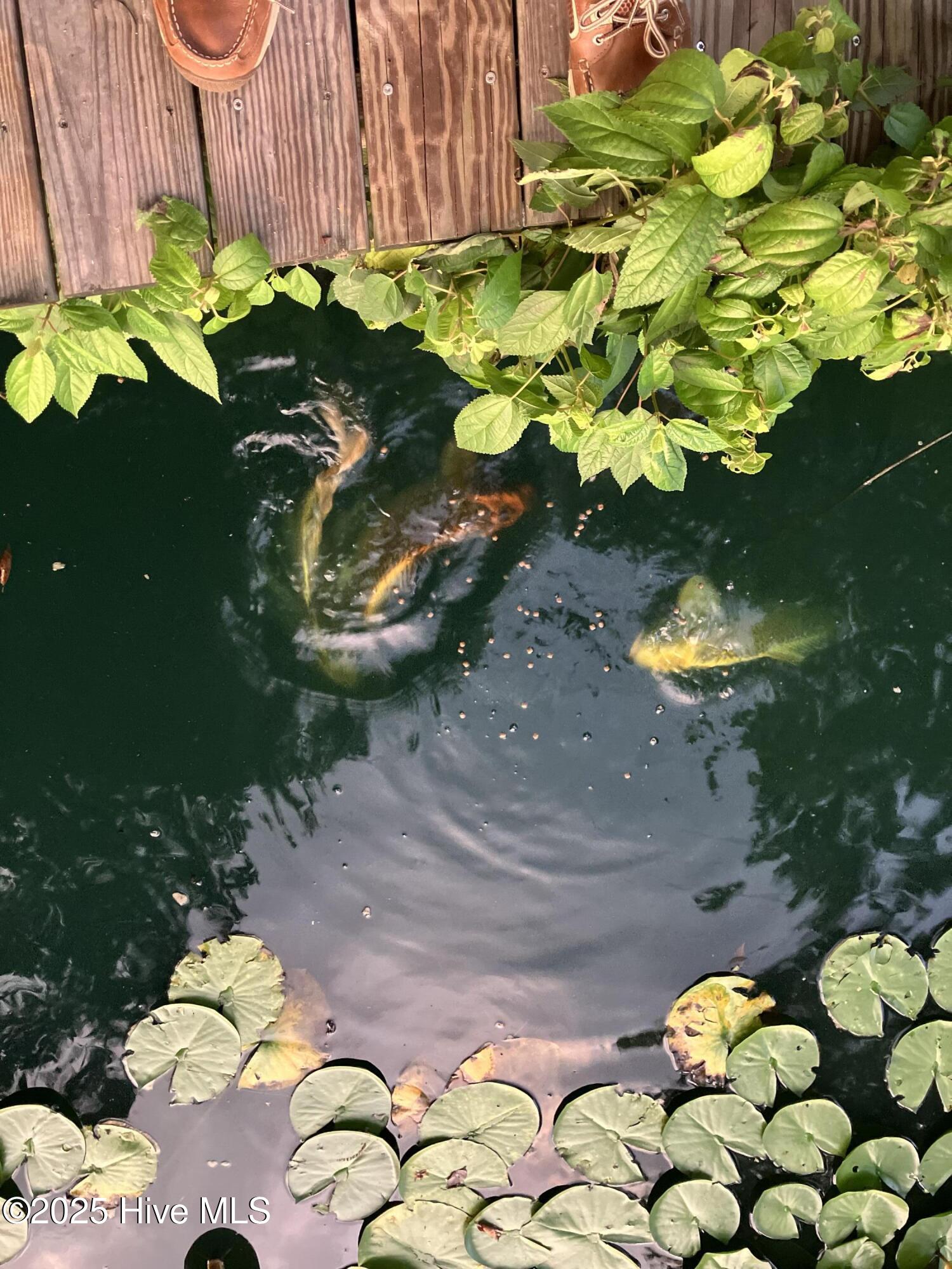 Homes for sale in Faison, NC | 2326 Us 117, Faison, NC 28341 | MLS# 100519957