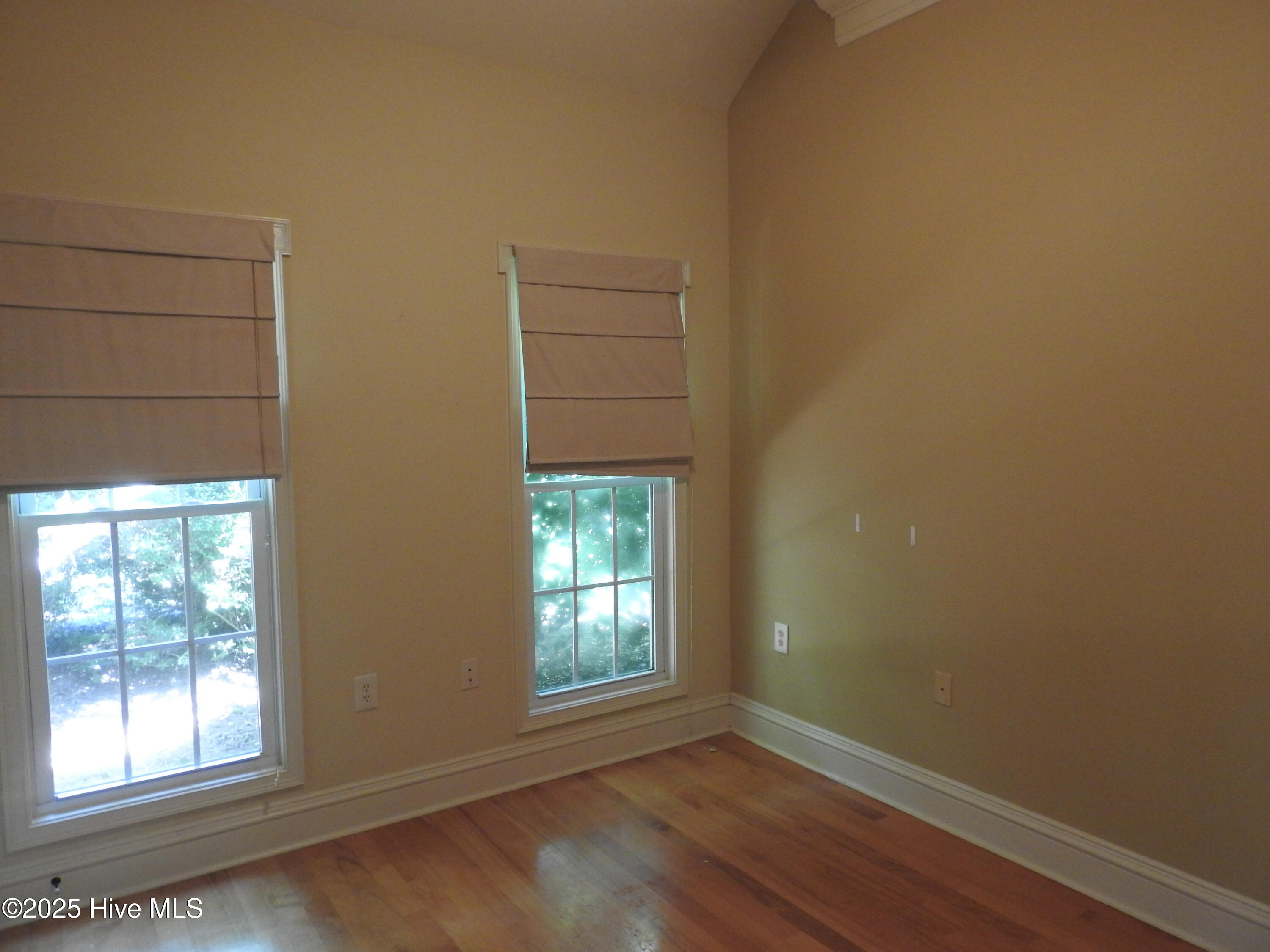 100520083 | Photo 29