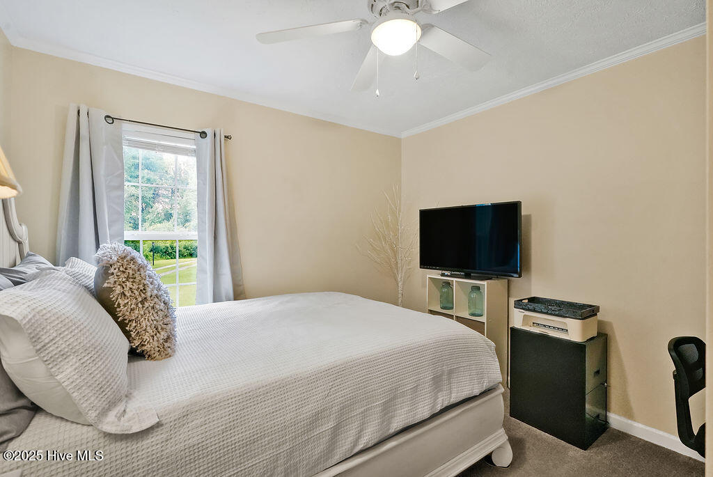 100521494 | Photo 34