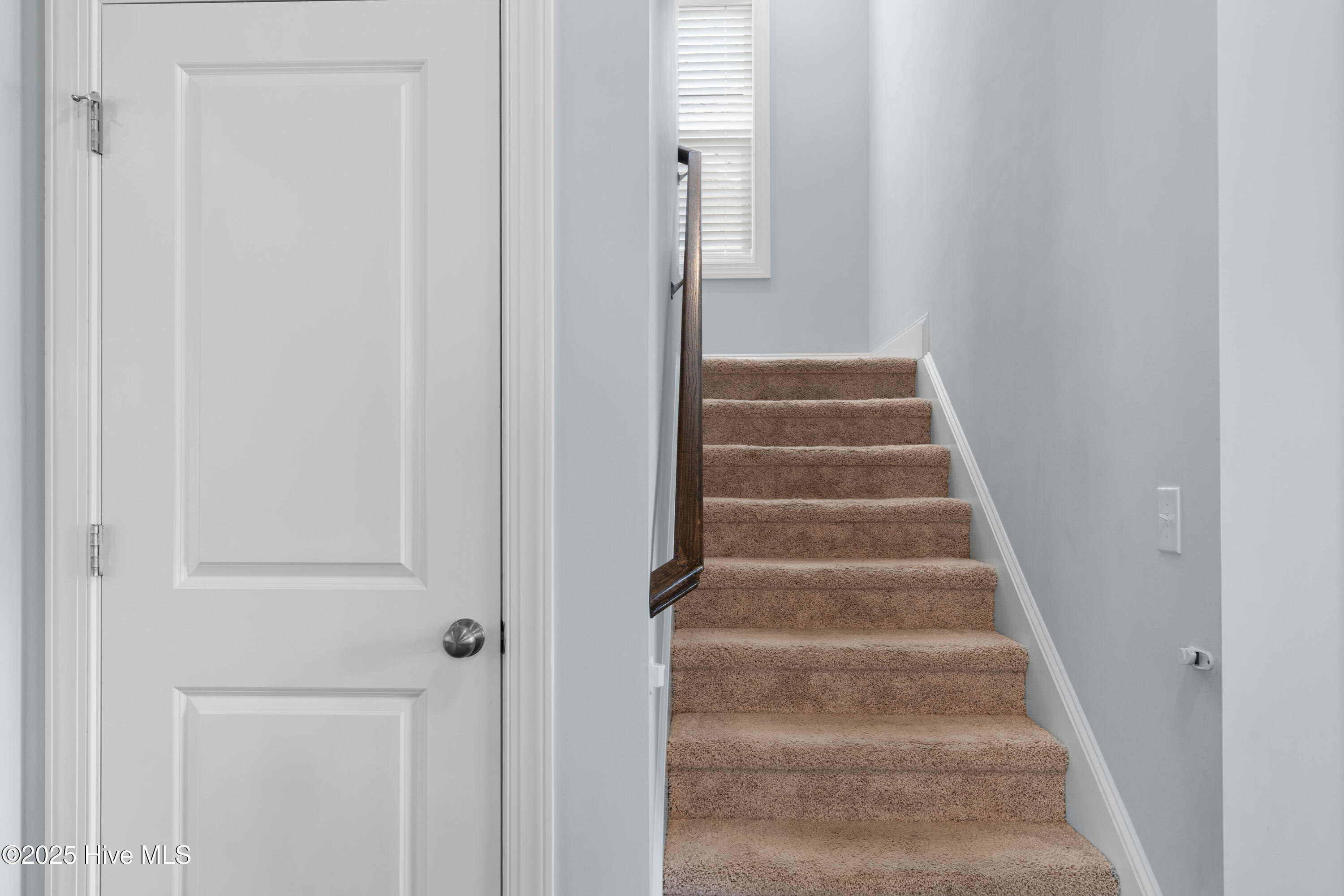 100512596 | Photo 26