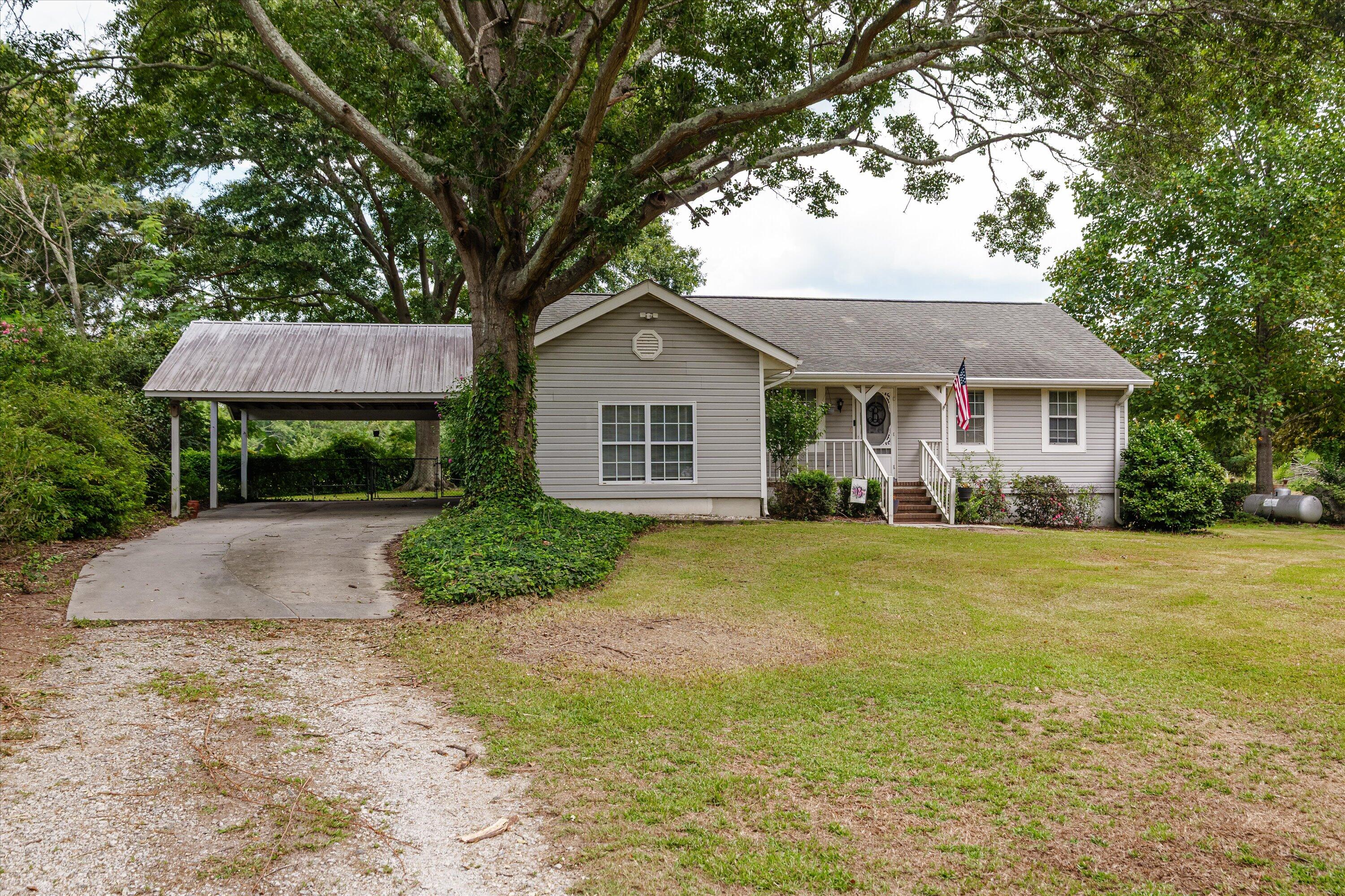 Lovely setting under the old oak tree
