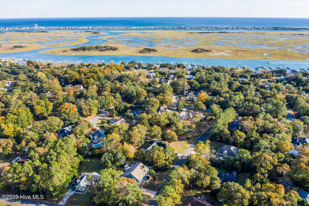 100542503 | Photo 64