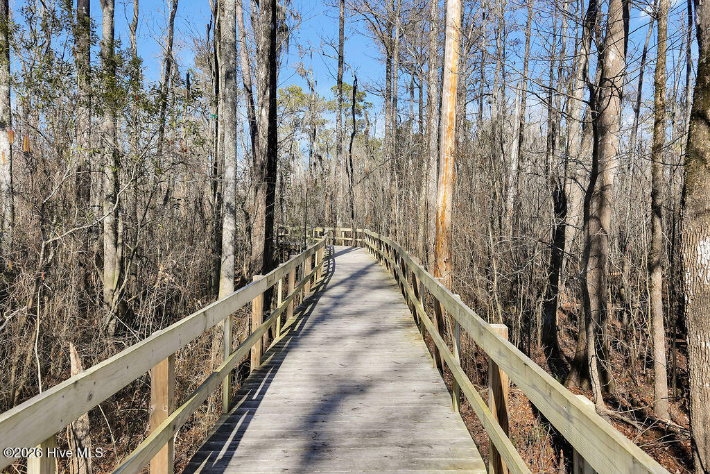 100548902 | Photo 37