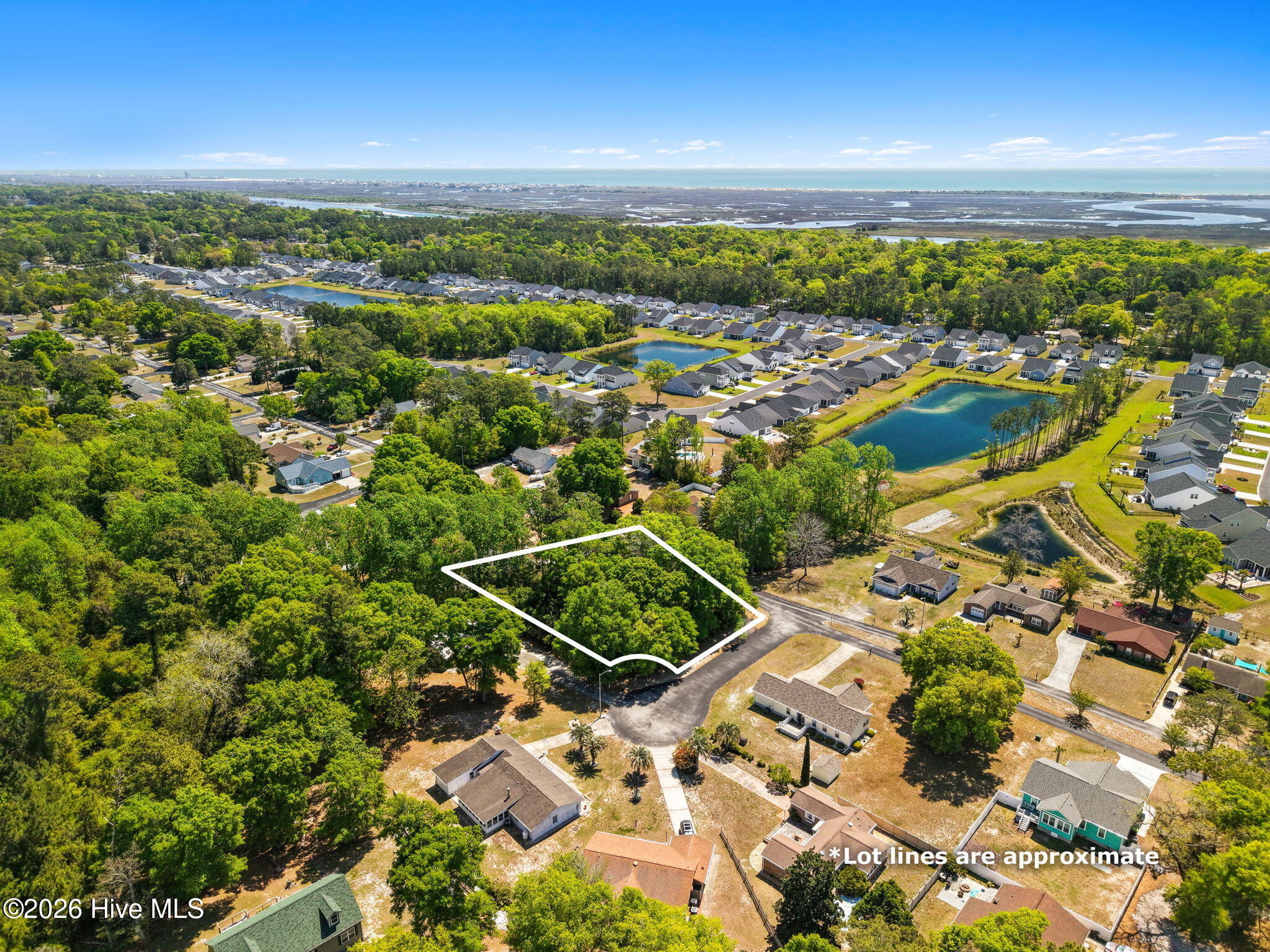 100566837 | Photo 16