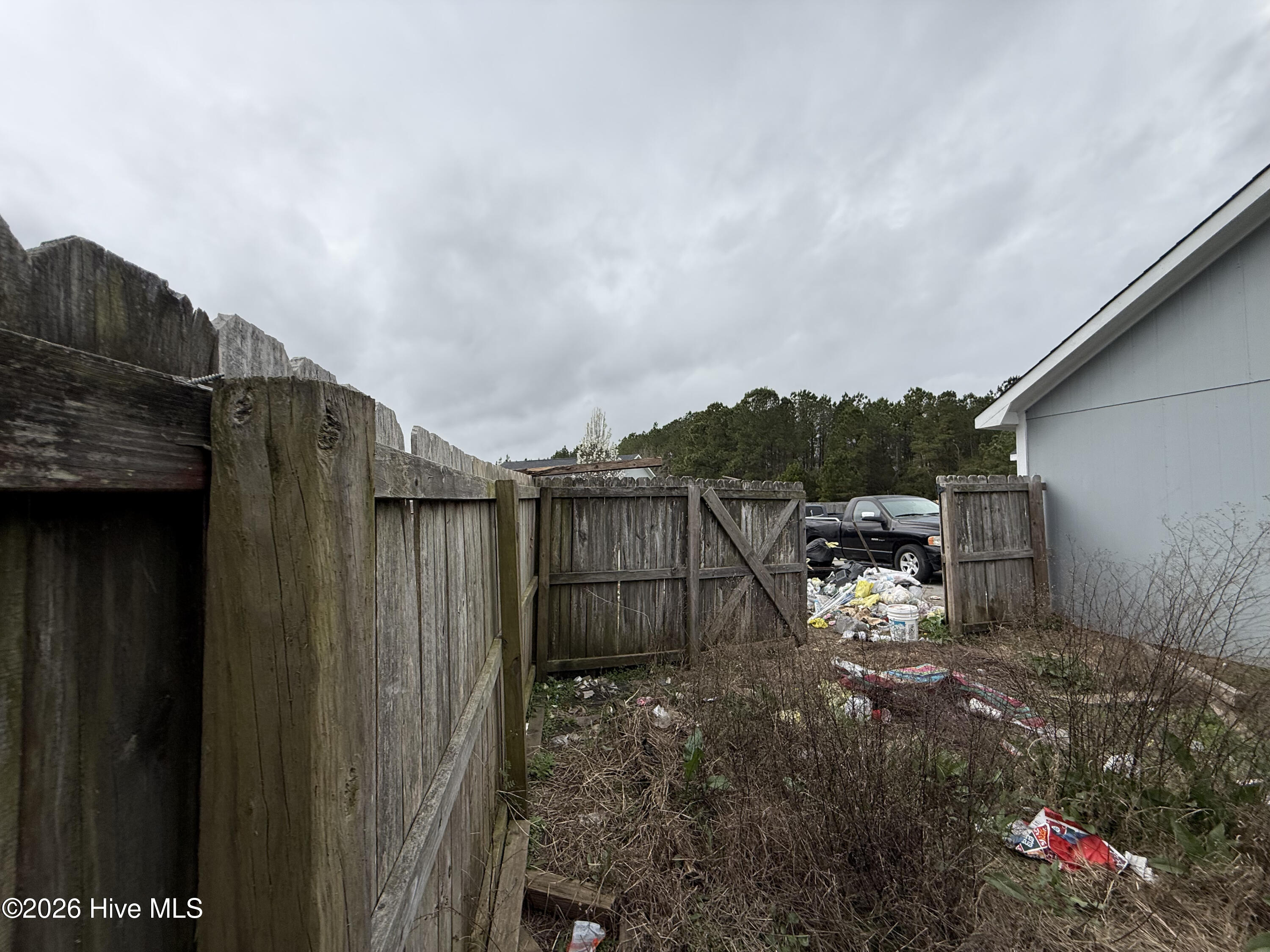 100562239 | Photo 35