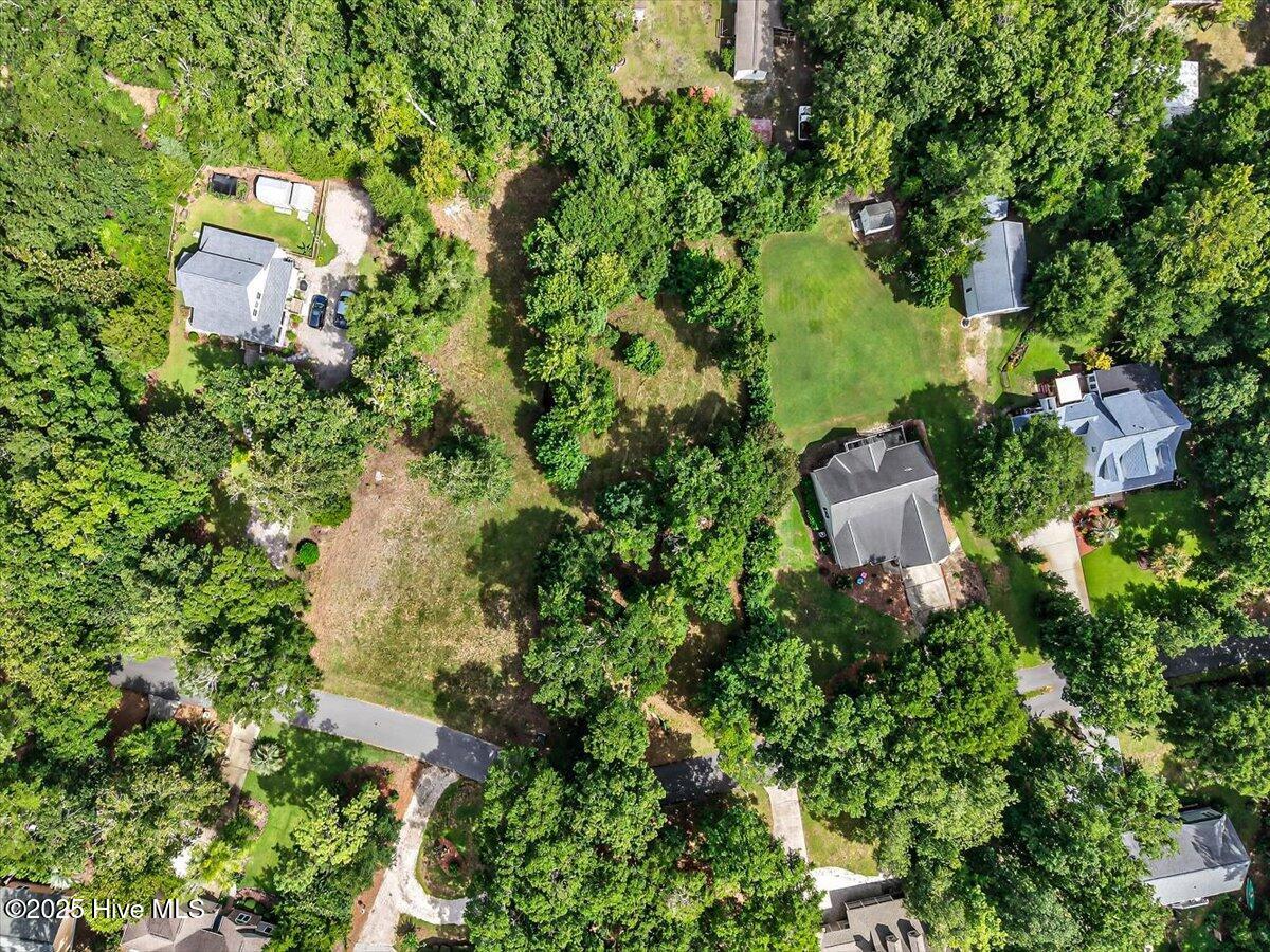 100481570 | Photo 21