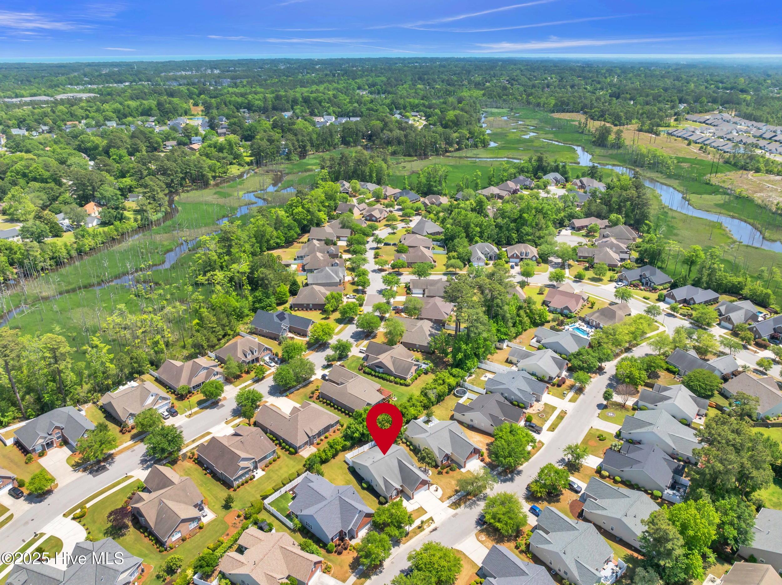 100540826 | Photo 32