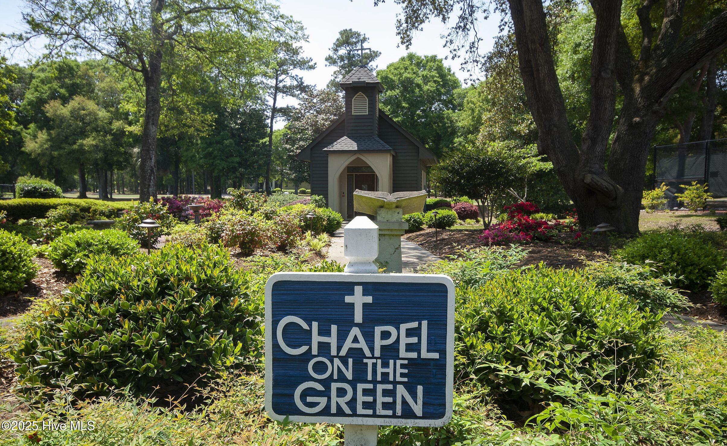 100539115 | Photo 101