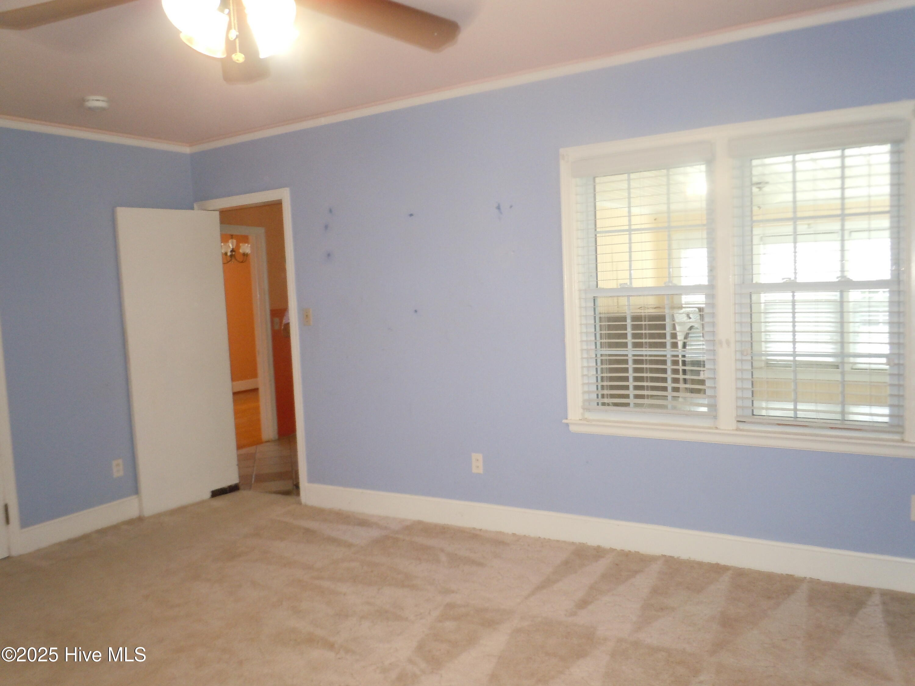 100536293 | Photo 17