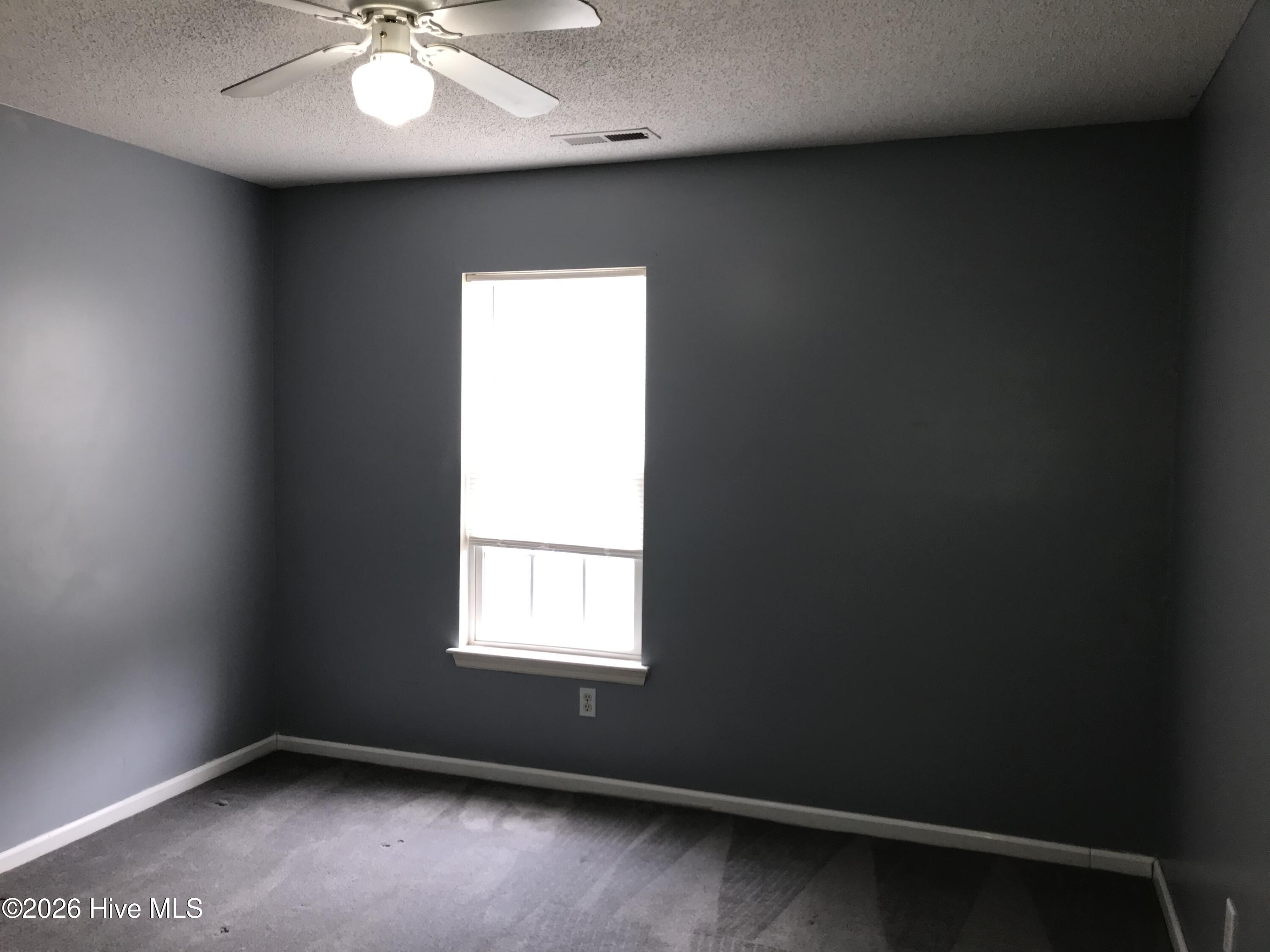 100568253 | Photo 13