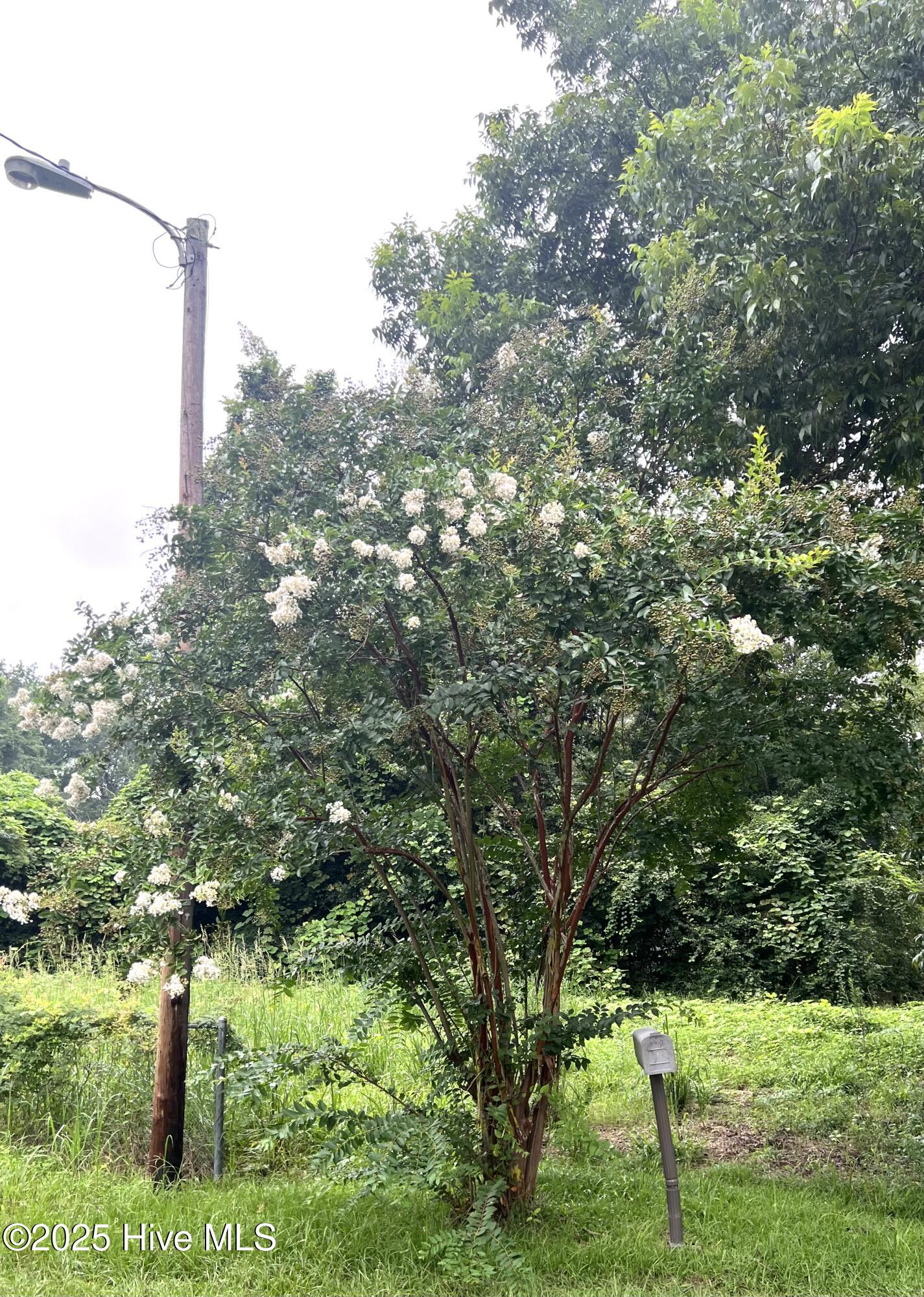 100526782 | Photo 21